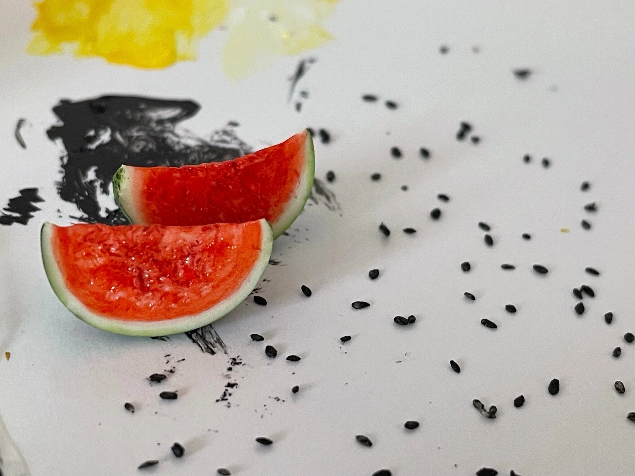 ミニチュア】スイカ祭り🍉｜goriy66