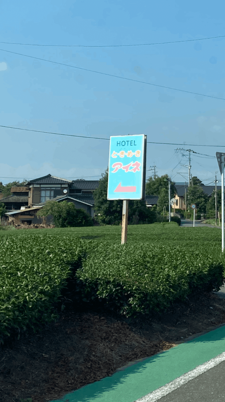 おばさん　パンツ　ラブホ 