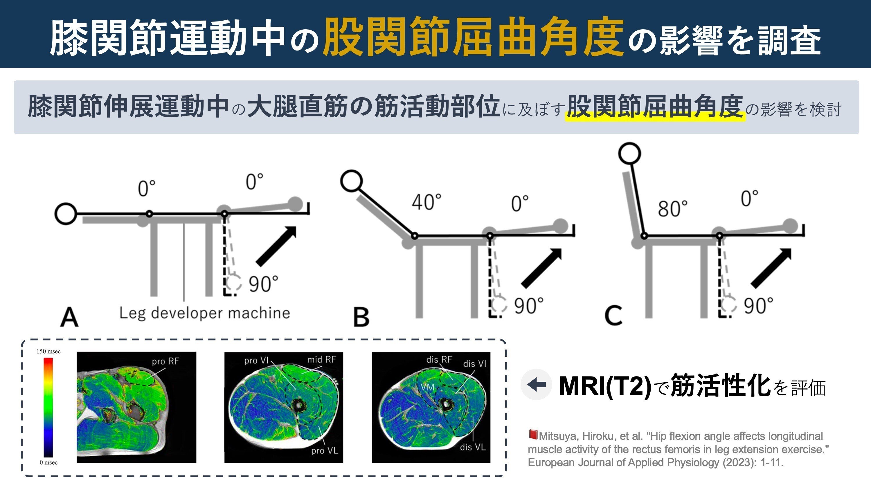 膝関節伸展運動と股関節角度。角度の違いで筋活性化部位に違い