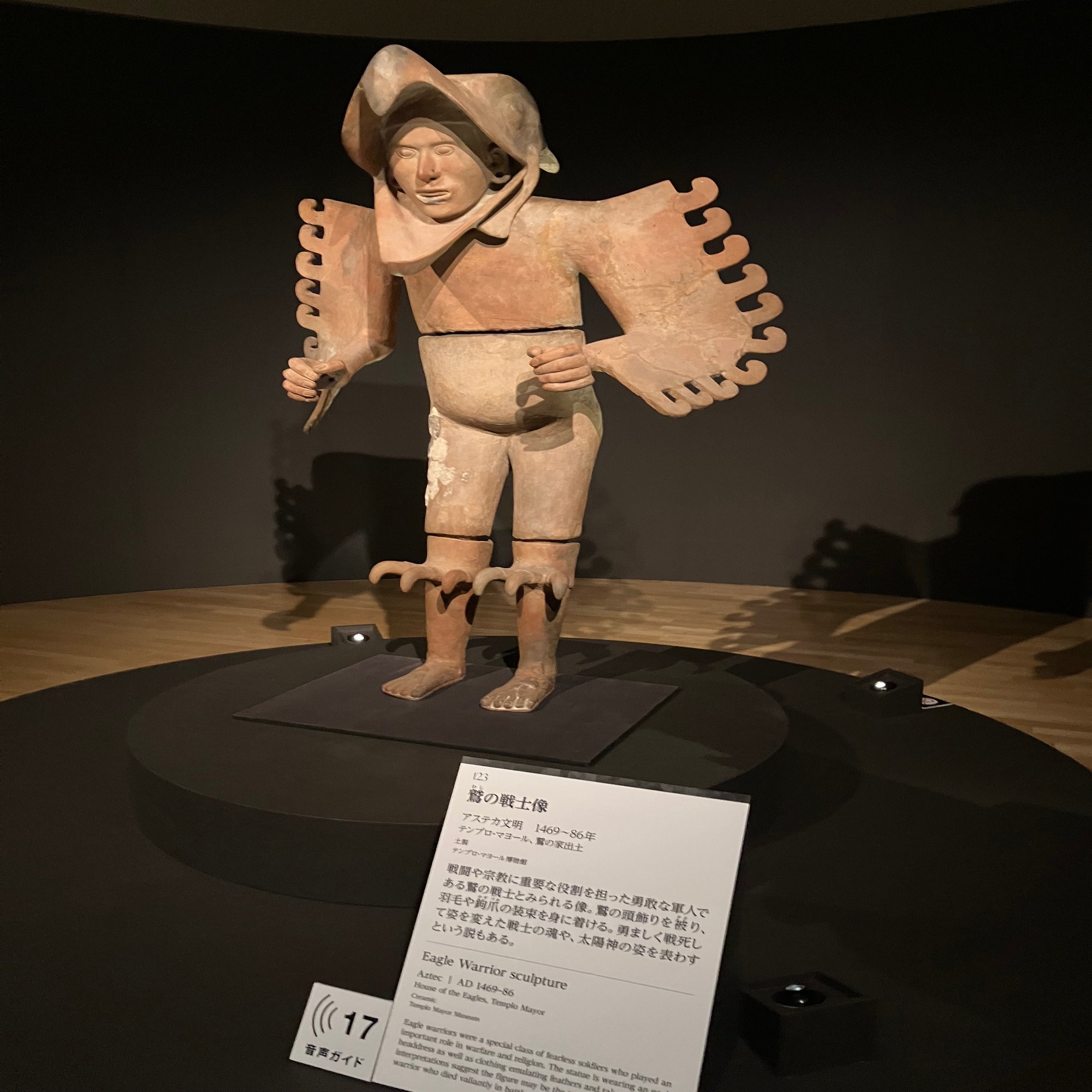 見るべきは、ここ！」｜yoshi m, image size:1500x2000