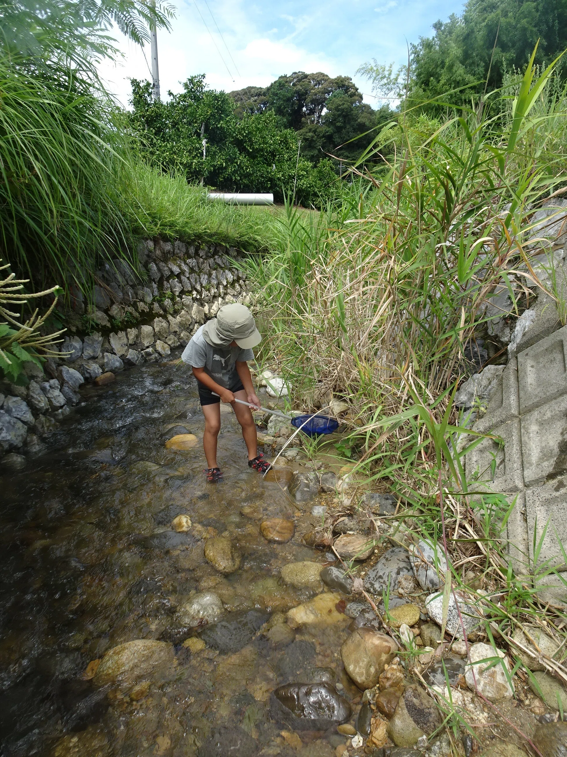 夏の思い出｜森中遊助