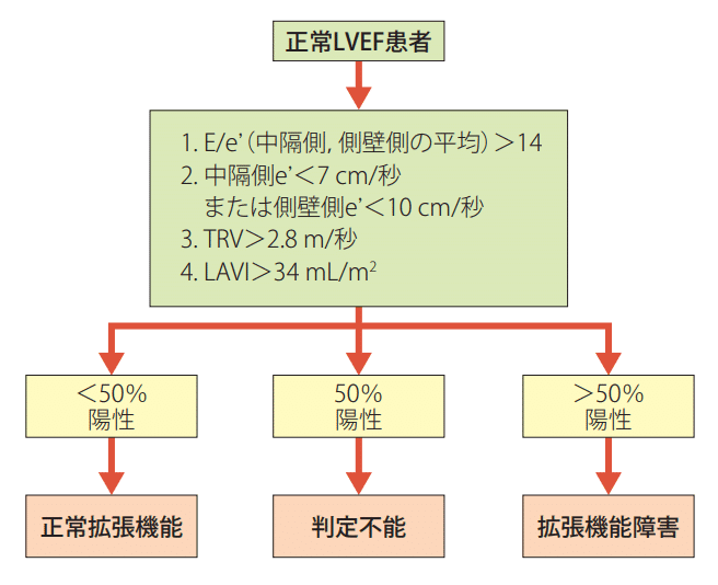 医学界新聞プラス ［第1回］心エコーレポートの見方をざっくり