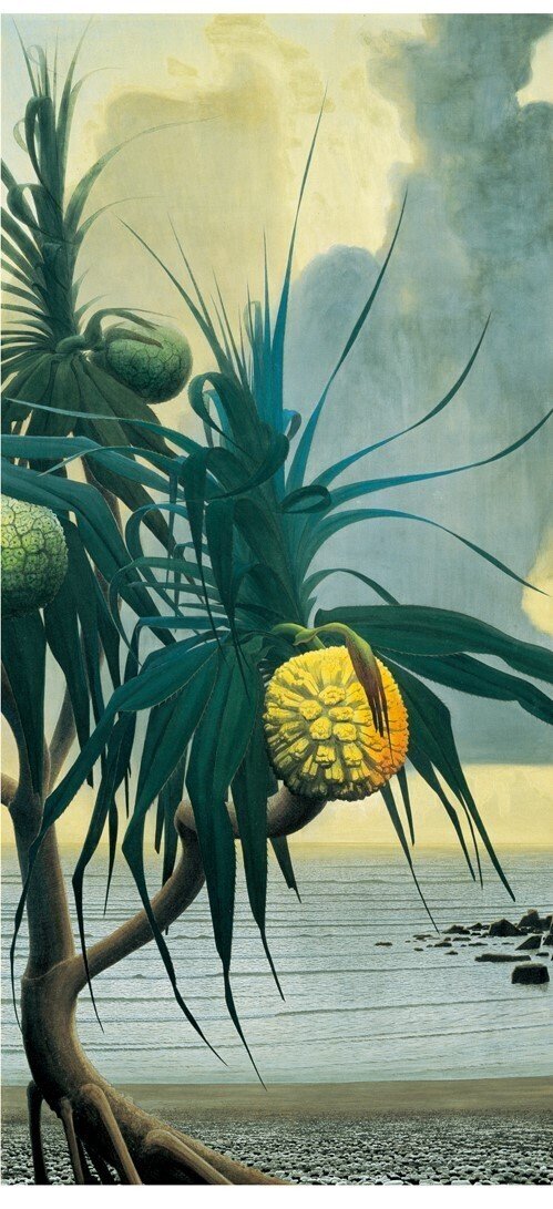 奄美大島、田中一村、求道者たち｜遊牧菜々