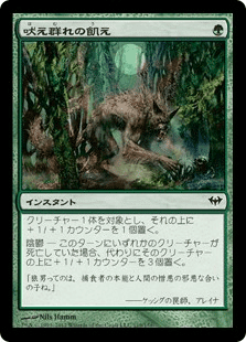 mtg 緑コモンカード一式 パウパー怨恨thermokarst野生の雑種犬