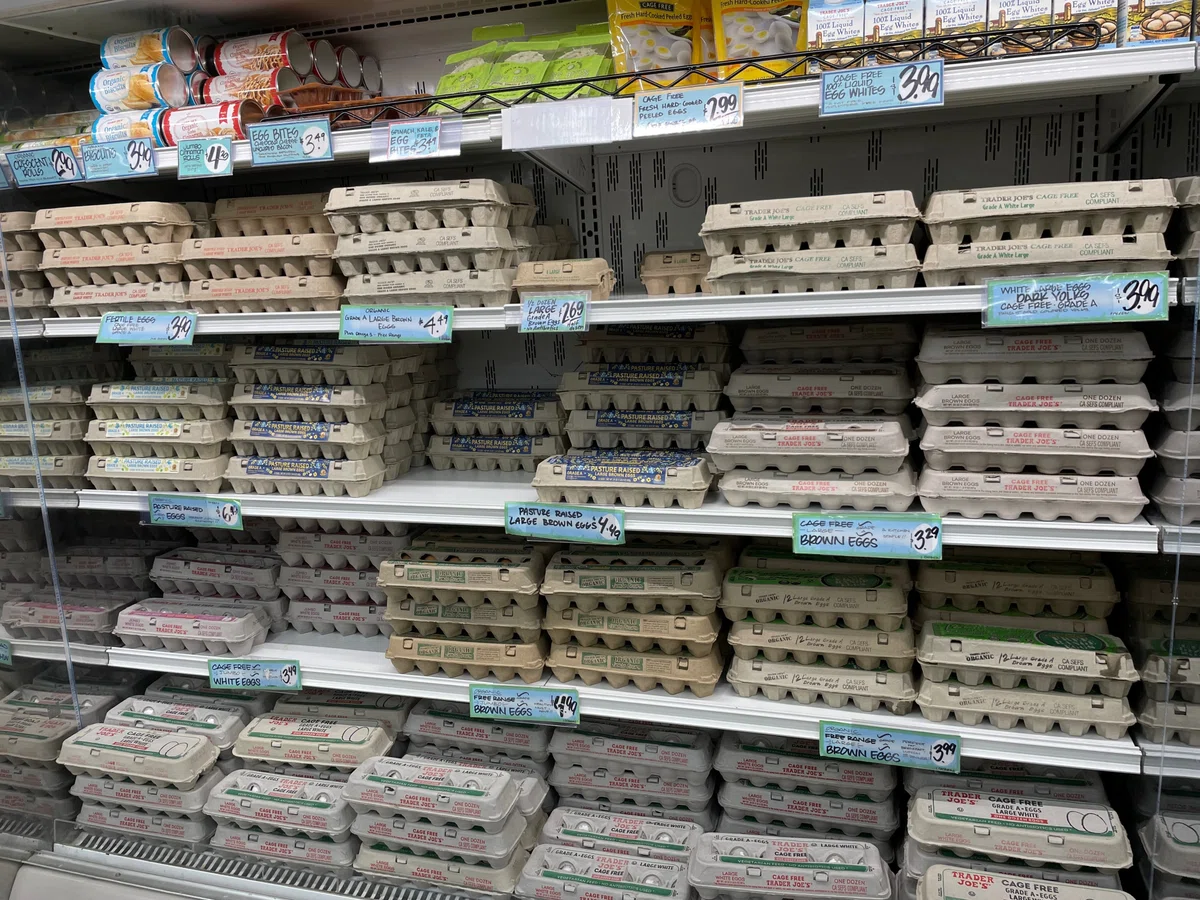 ç»å