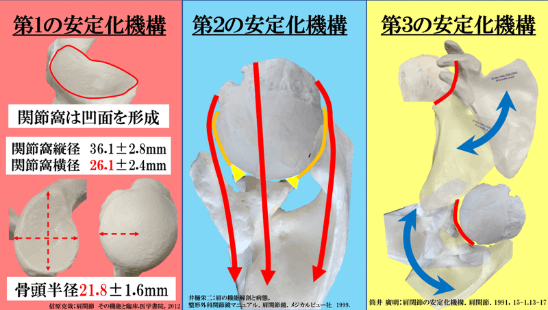 PNFの治療技術 ： 臨床応用編 2 「 肩関節へのアプローチ