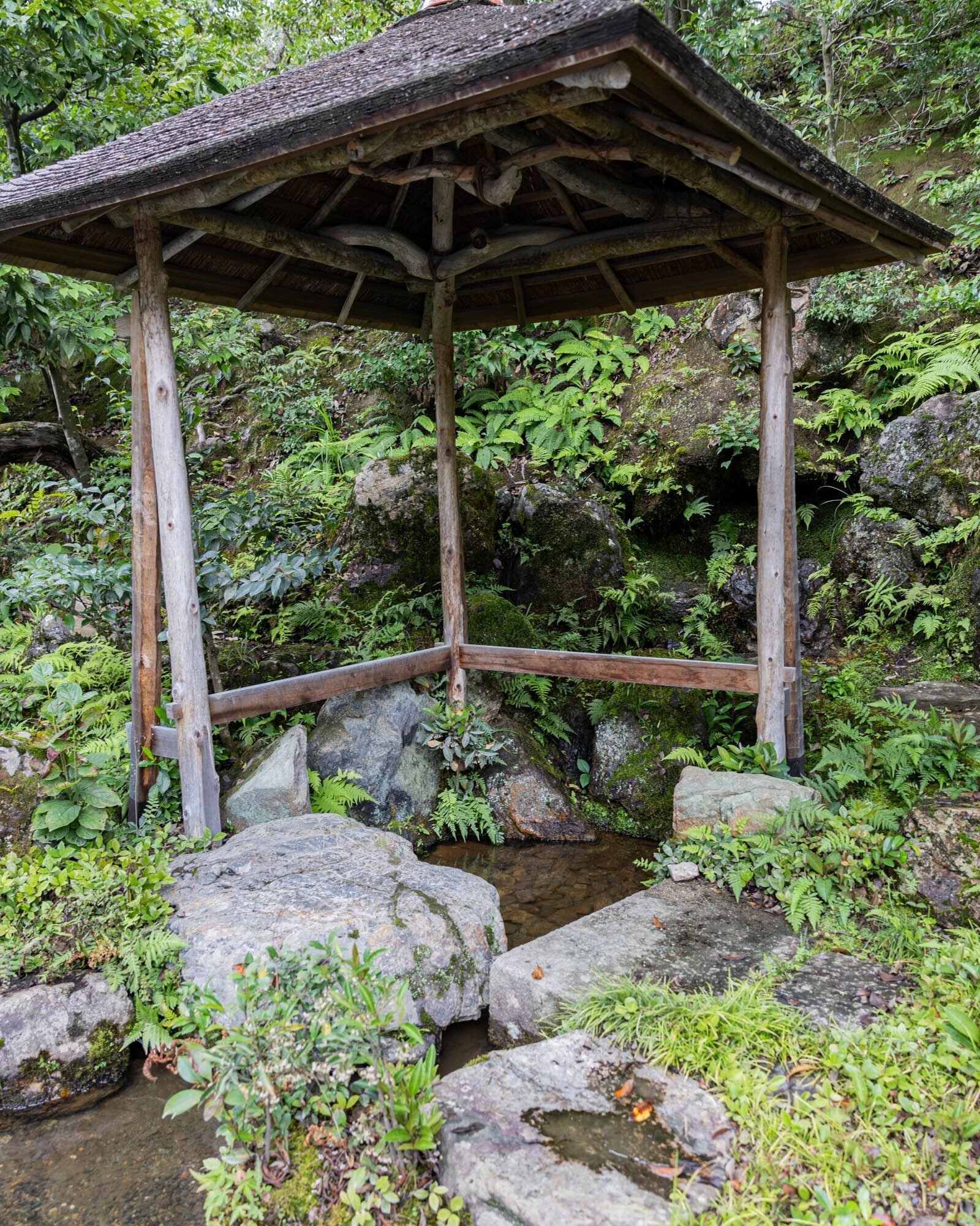 金閣寺 Walk in Kyoto, Japan - Kinkakuji 金閣寺 and Ginkakuji 銀閣寺
