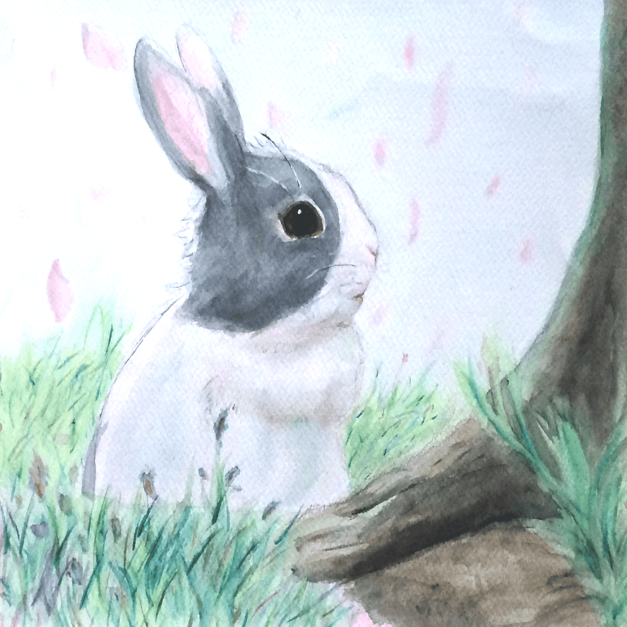 私の作品の核にいるうさぎの話1｜安松