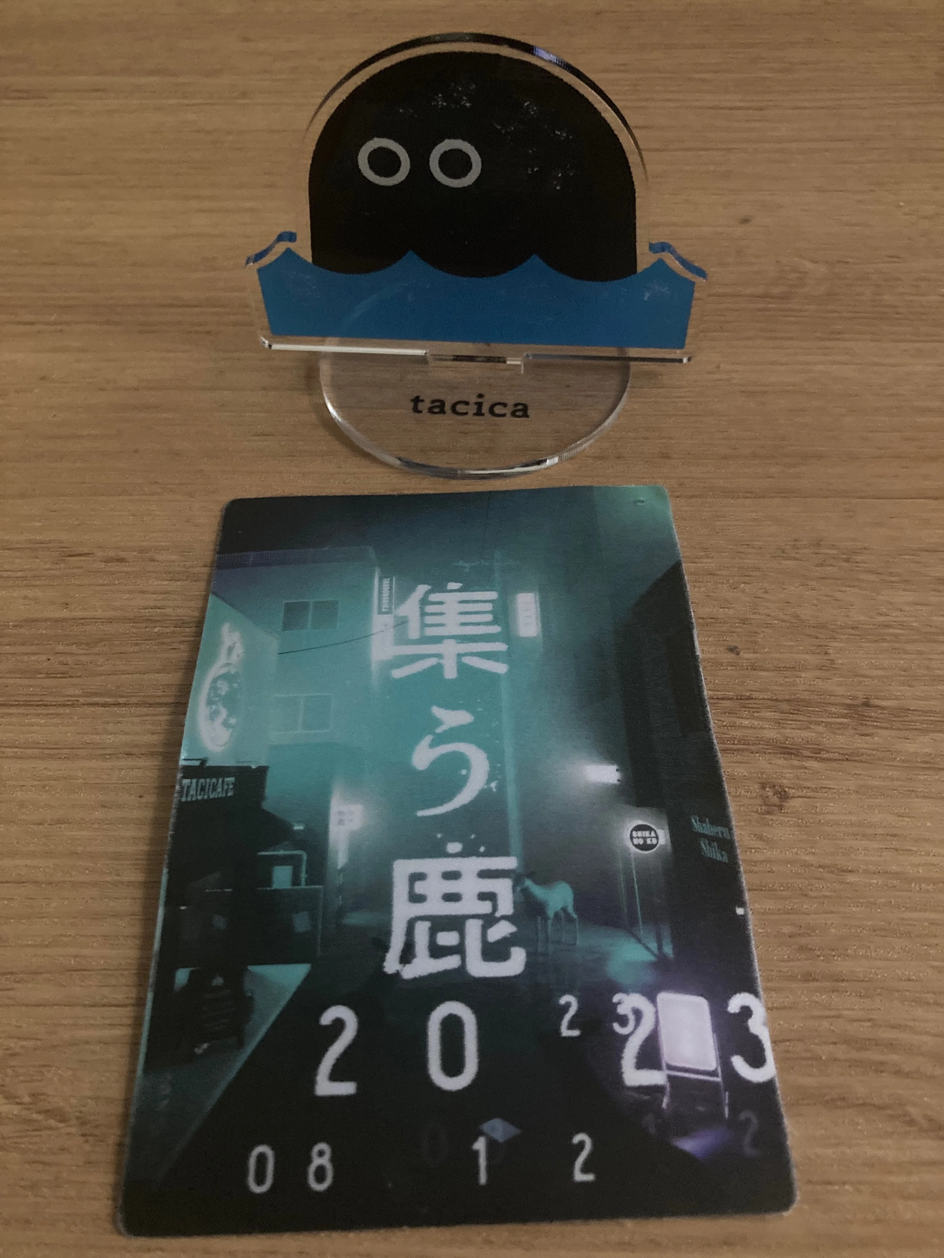 tacica - 歌詞 歌ネット 歌詞集｜Yahoo!フリマ（旧PayPayフリマ 