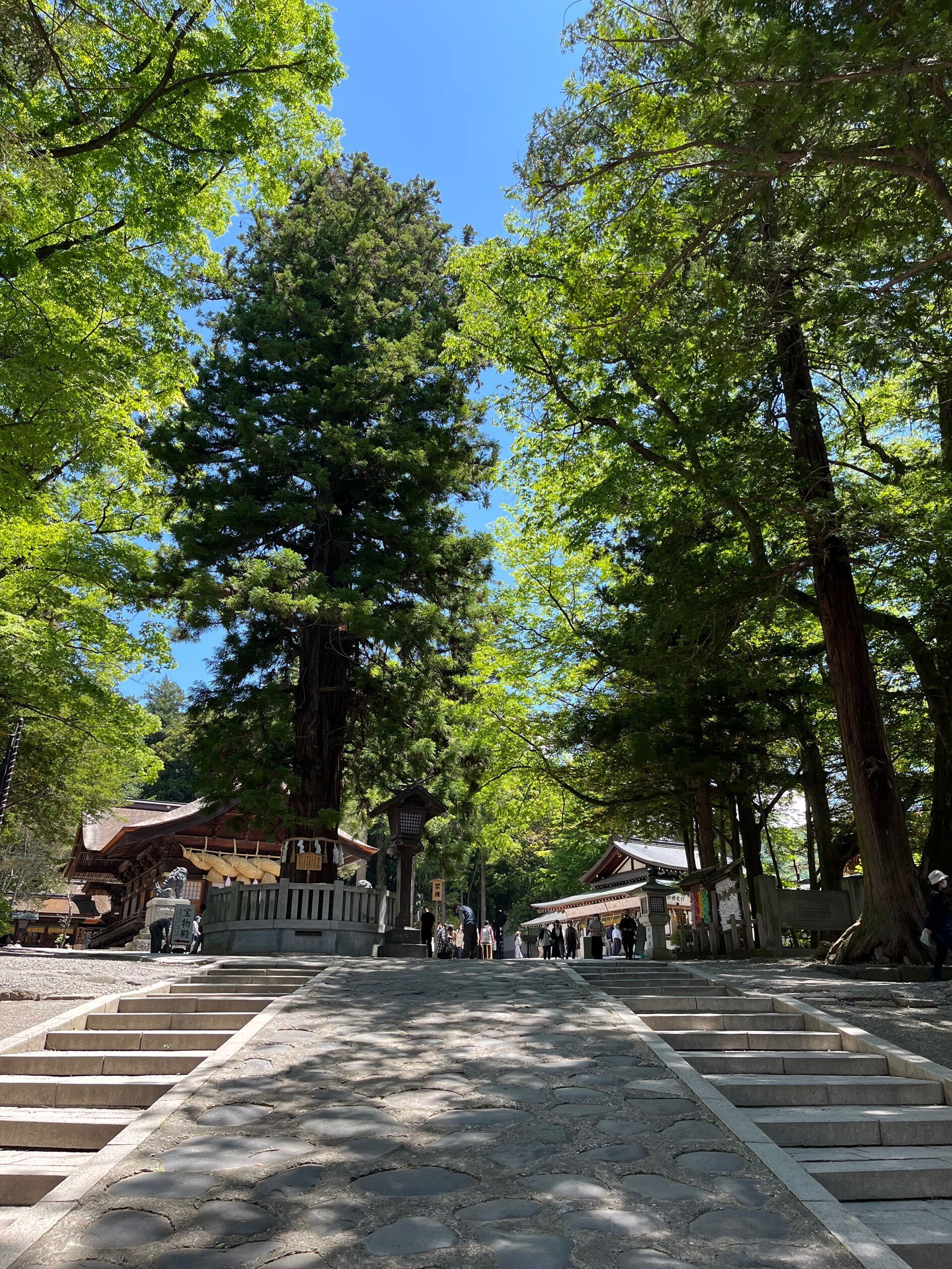 諏訪大社の 諏訪大社の