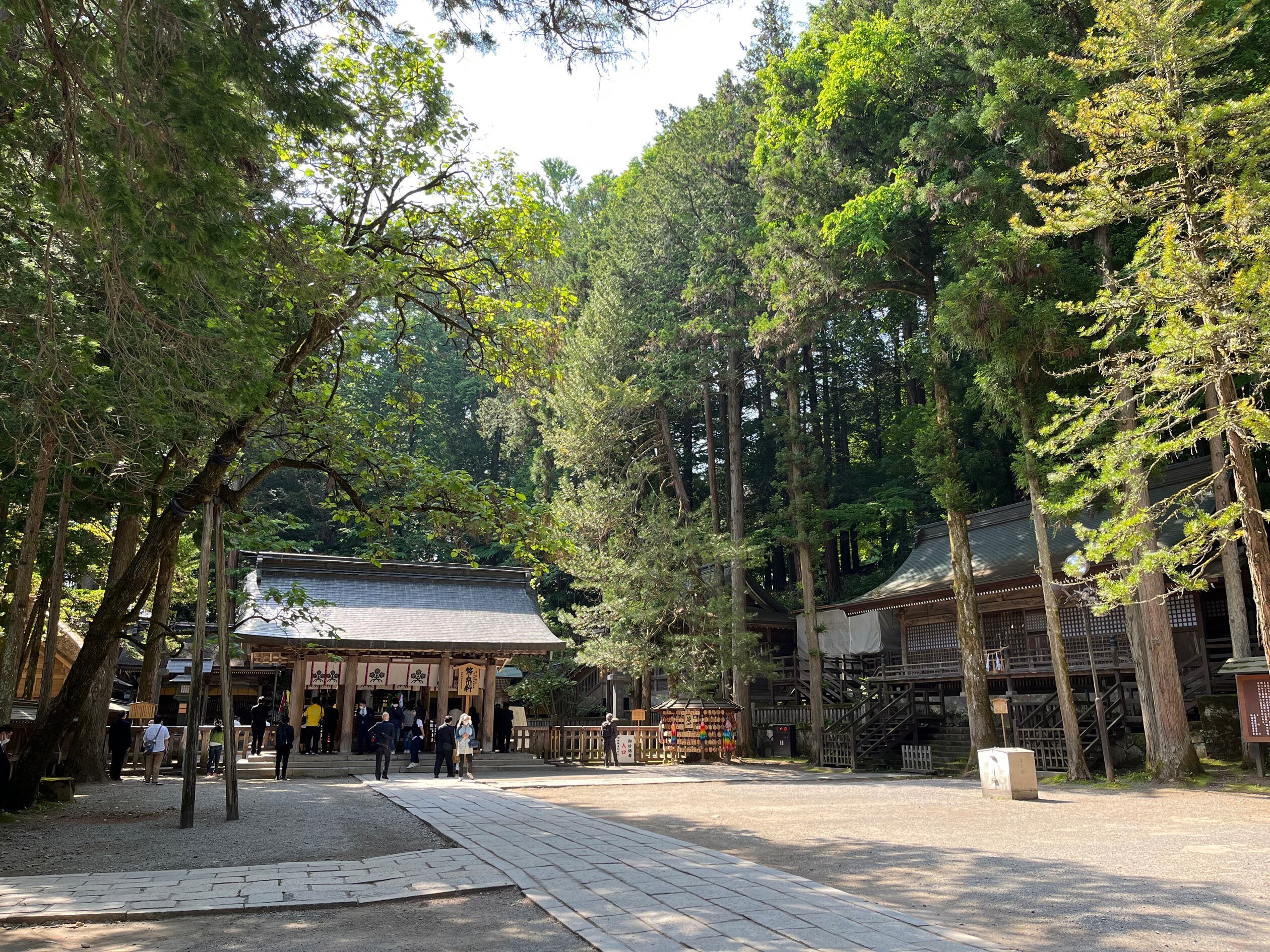 御柱　諏訪 諏訪大社の