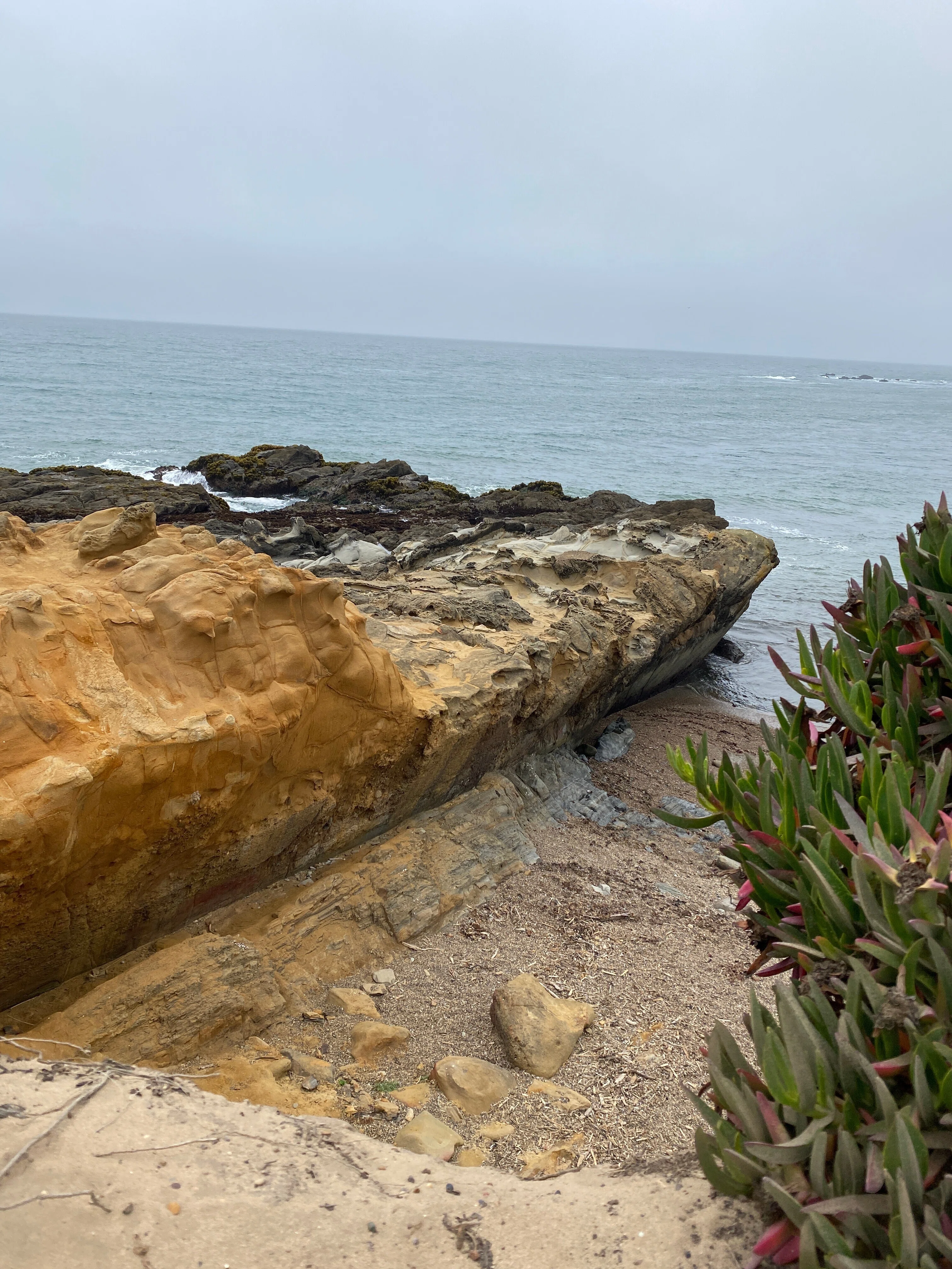 巨人のかけら〜Big Basin と Bean Hollow State Beach