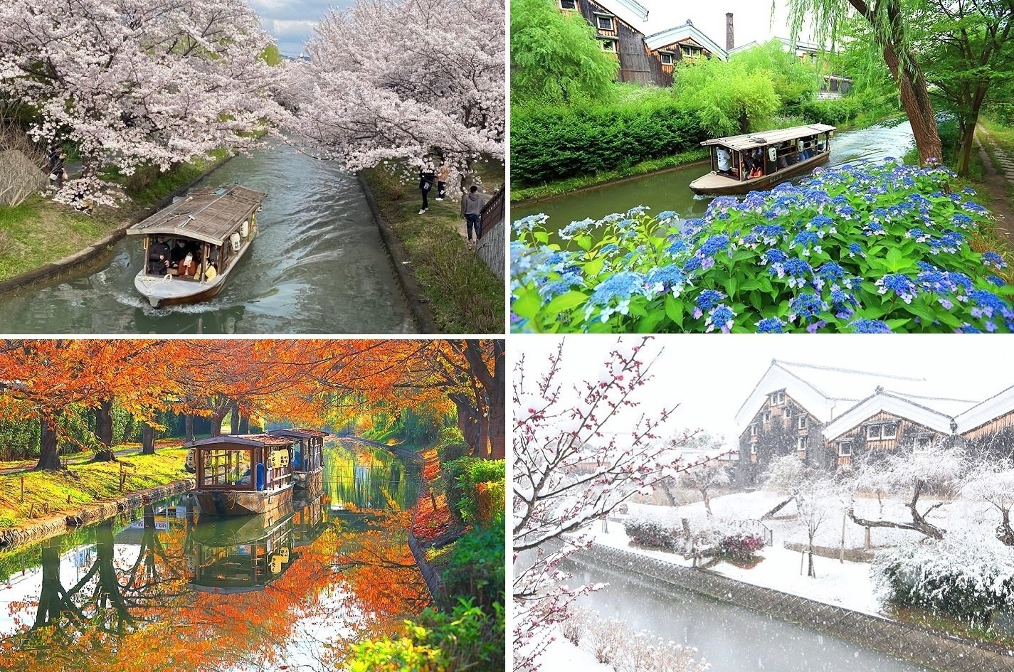 ⛴ 京都伏見の観光舟『十石舟』～ここは日本が誇る「ジャングル