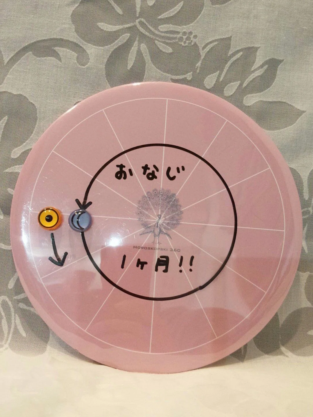 射手座14度「金字塔」｜星見当番