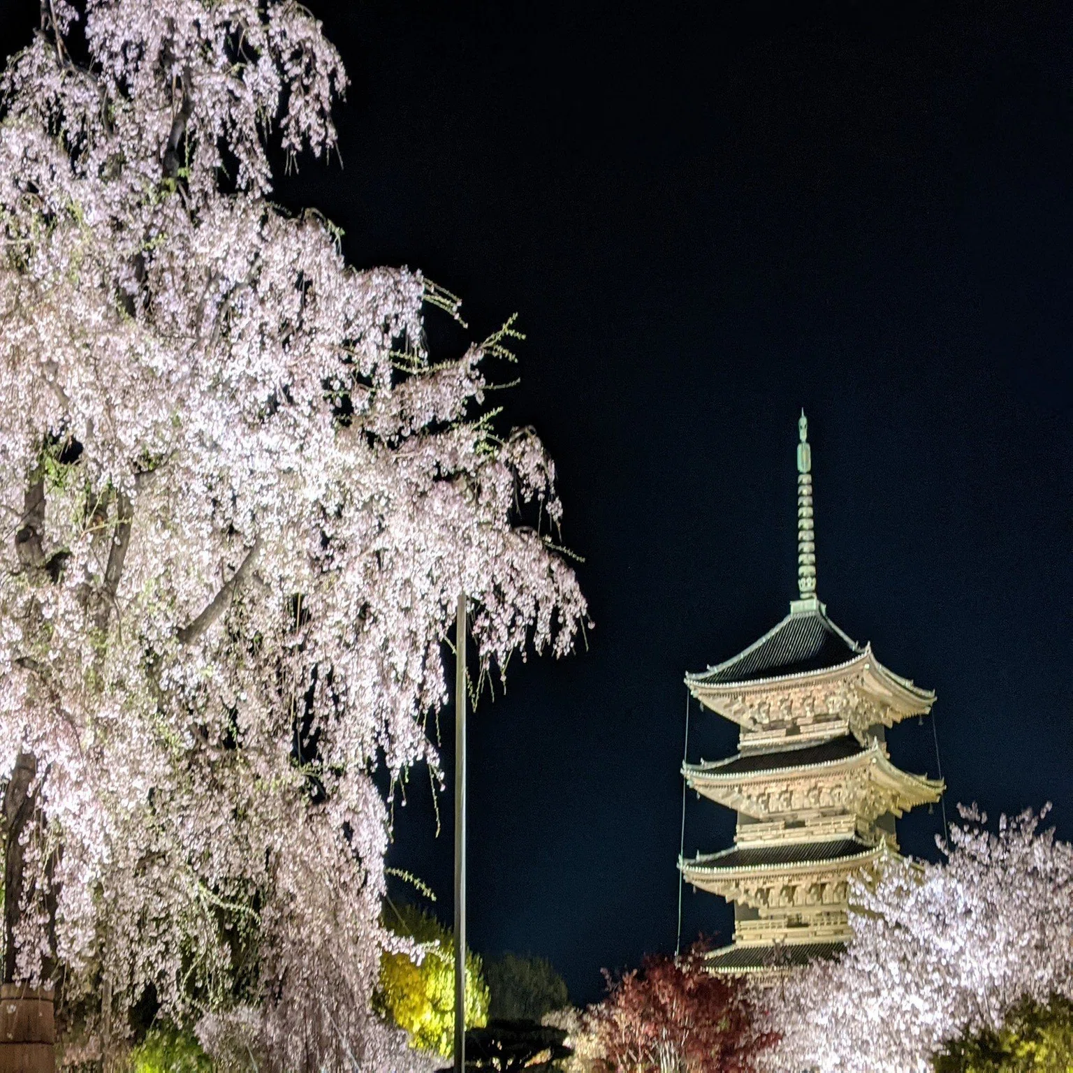 東京から京都へ移住して良かった7つのこと｜CHILLNN