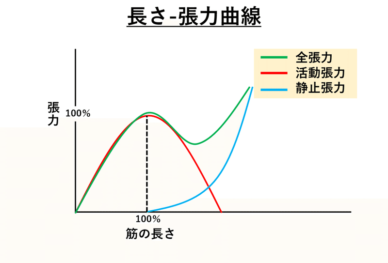 定期購読版】肘関節伸展可動域制限に対するリハビリテーション｜肩関節 