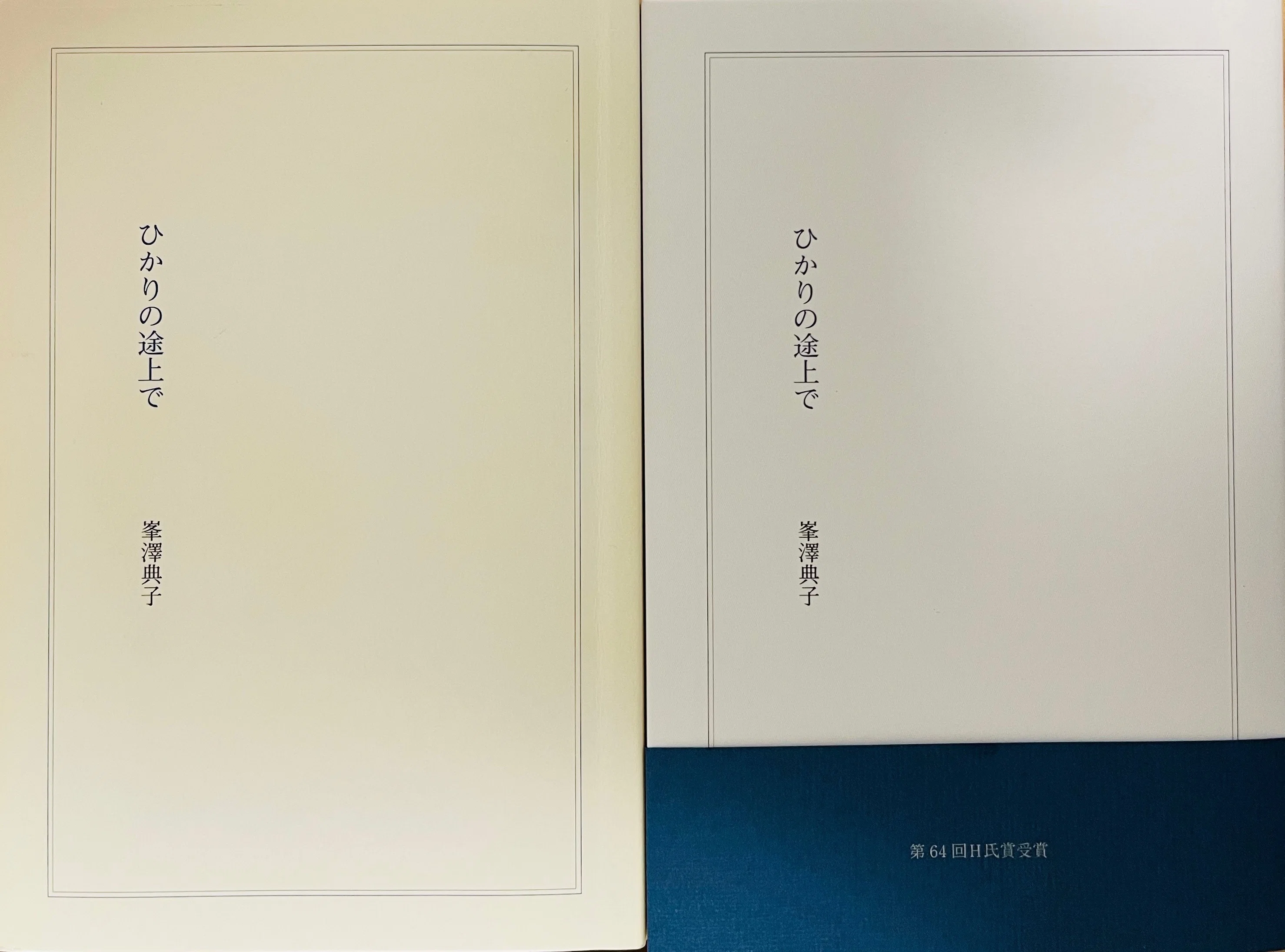 第一詩集から第二詩集『ひかりの途上で』までのこと｜峯澤典子 Noriko