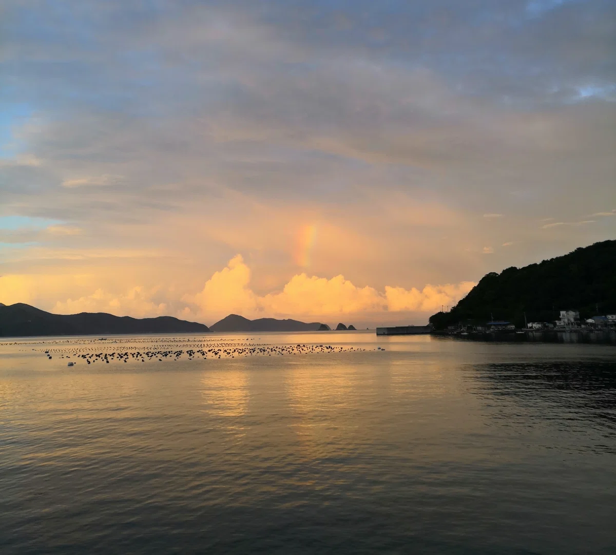 釣り場から見た空に虹がかかっていた