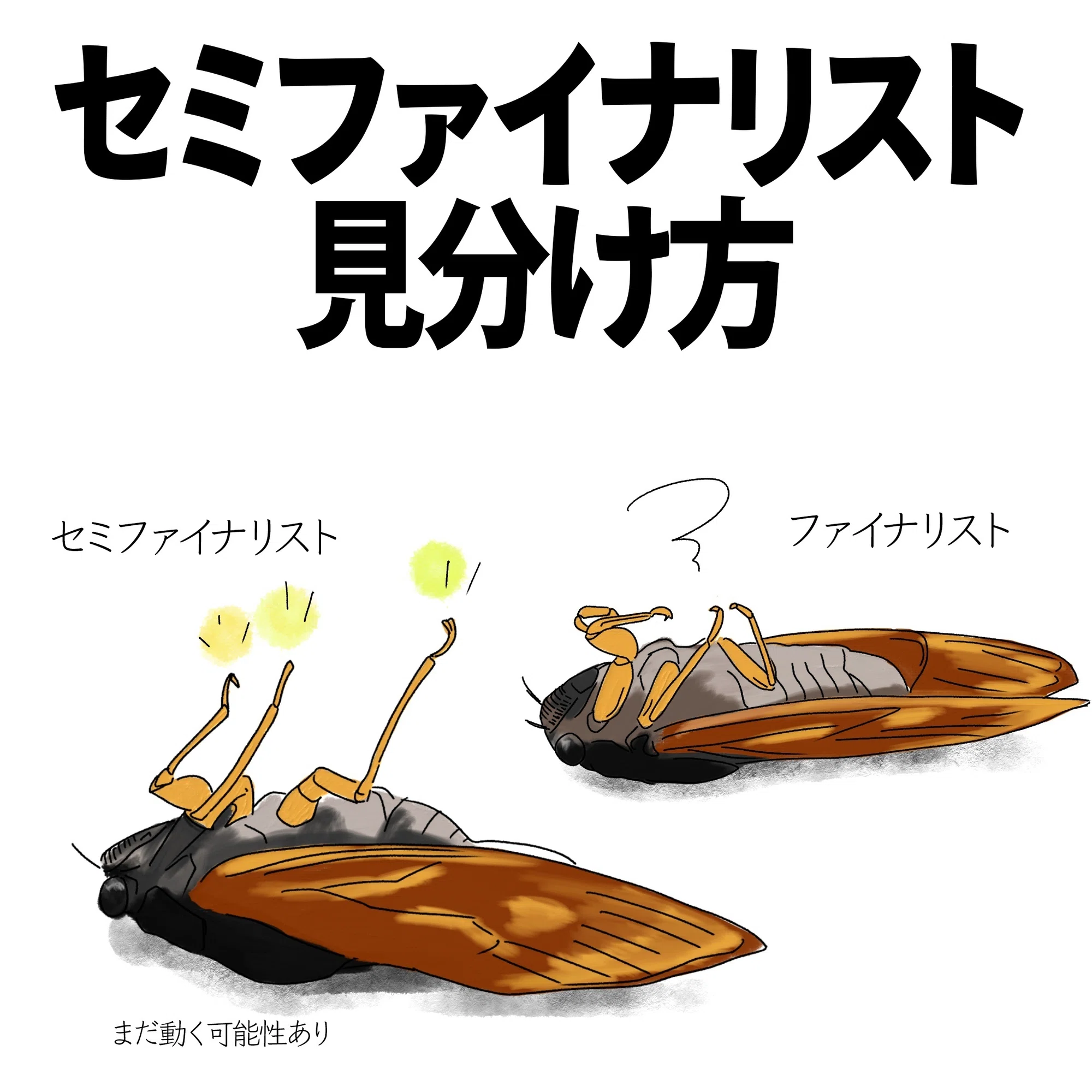 セミ ファイナル と は