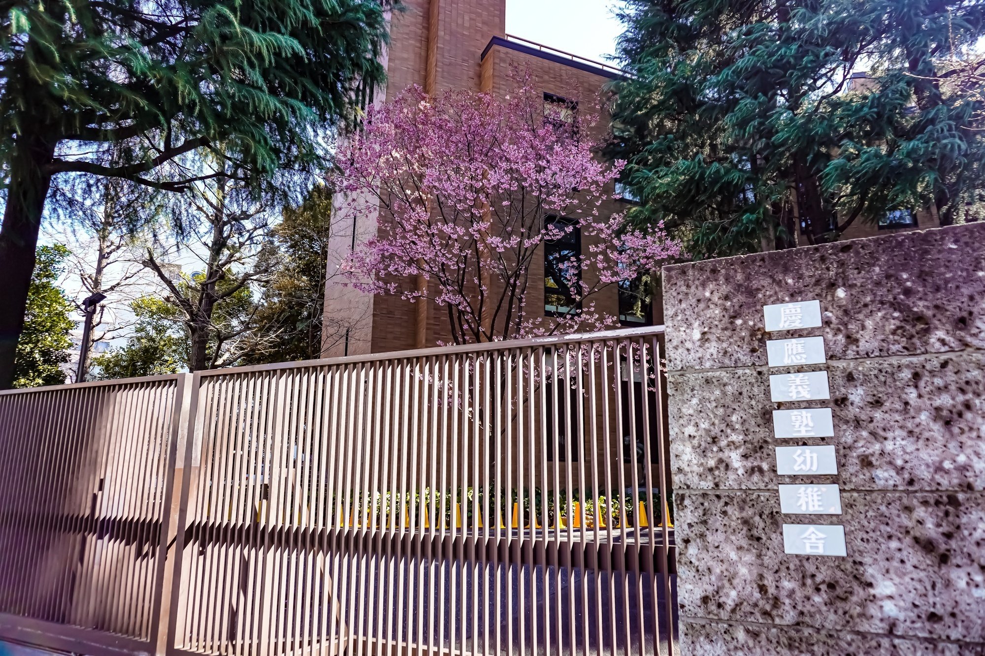 小学校受験】慶應義塾幼稚舎 受験のすすめ｜絶対合格！！お受験情報®