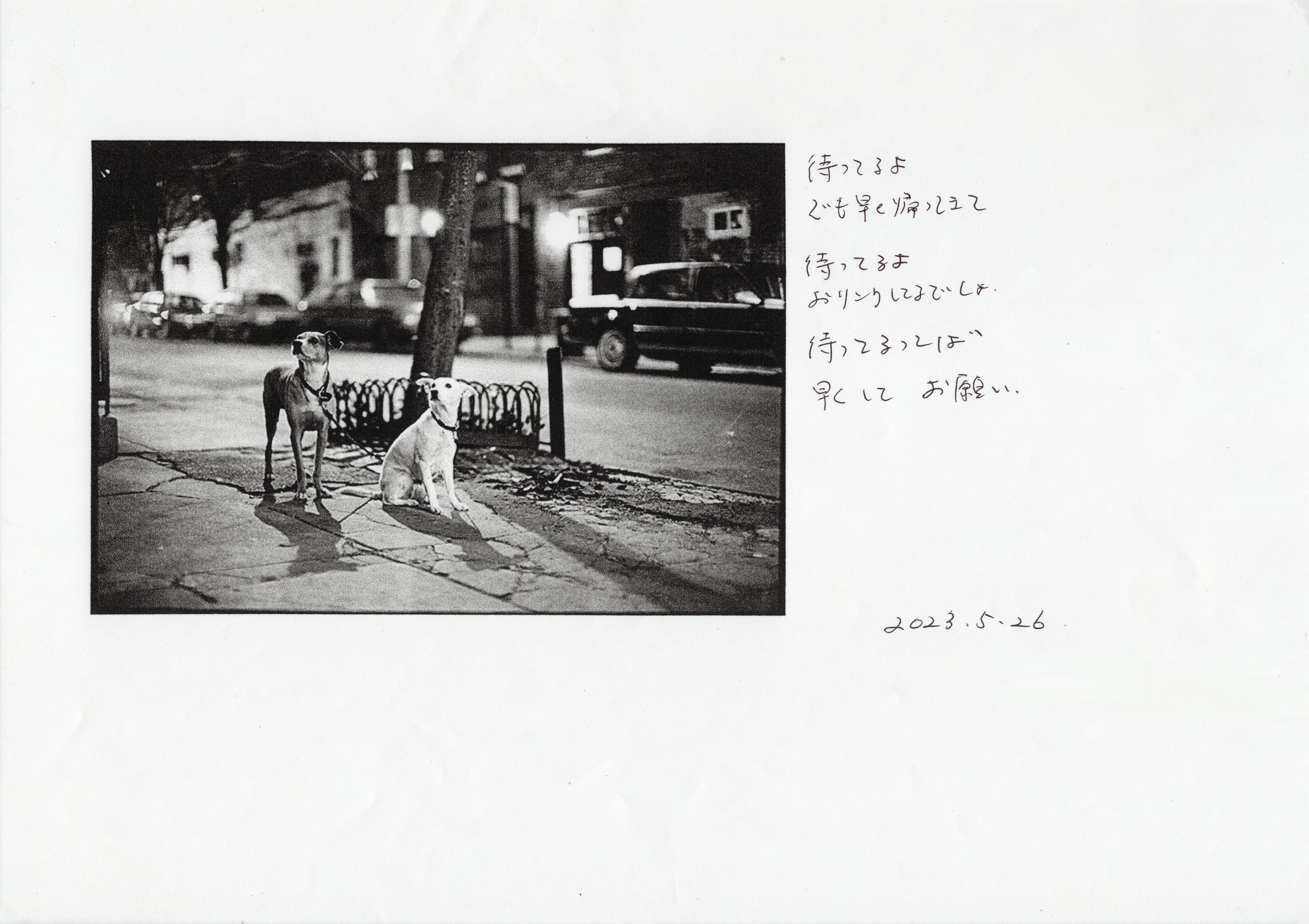 Black & White「PARIS」 Midori S. Inoue 作 At a Bar