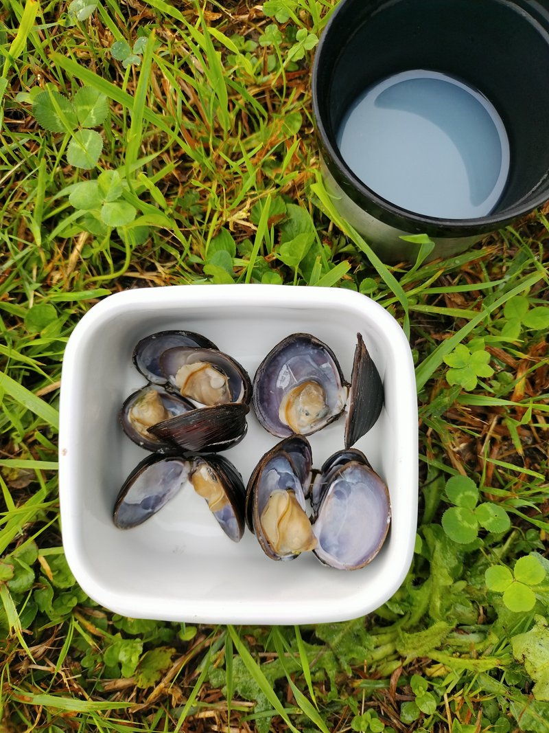 北海道のたしか稚内産のシジミとシジミを煮てできただし汁