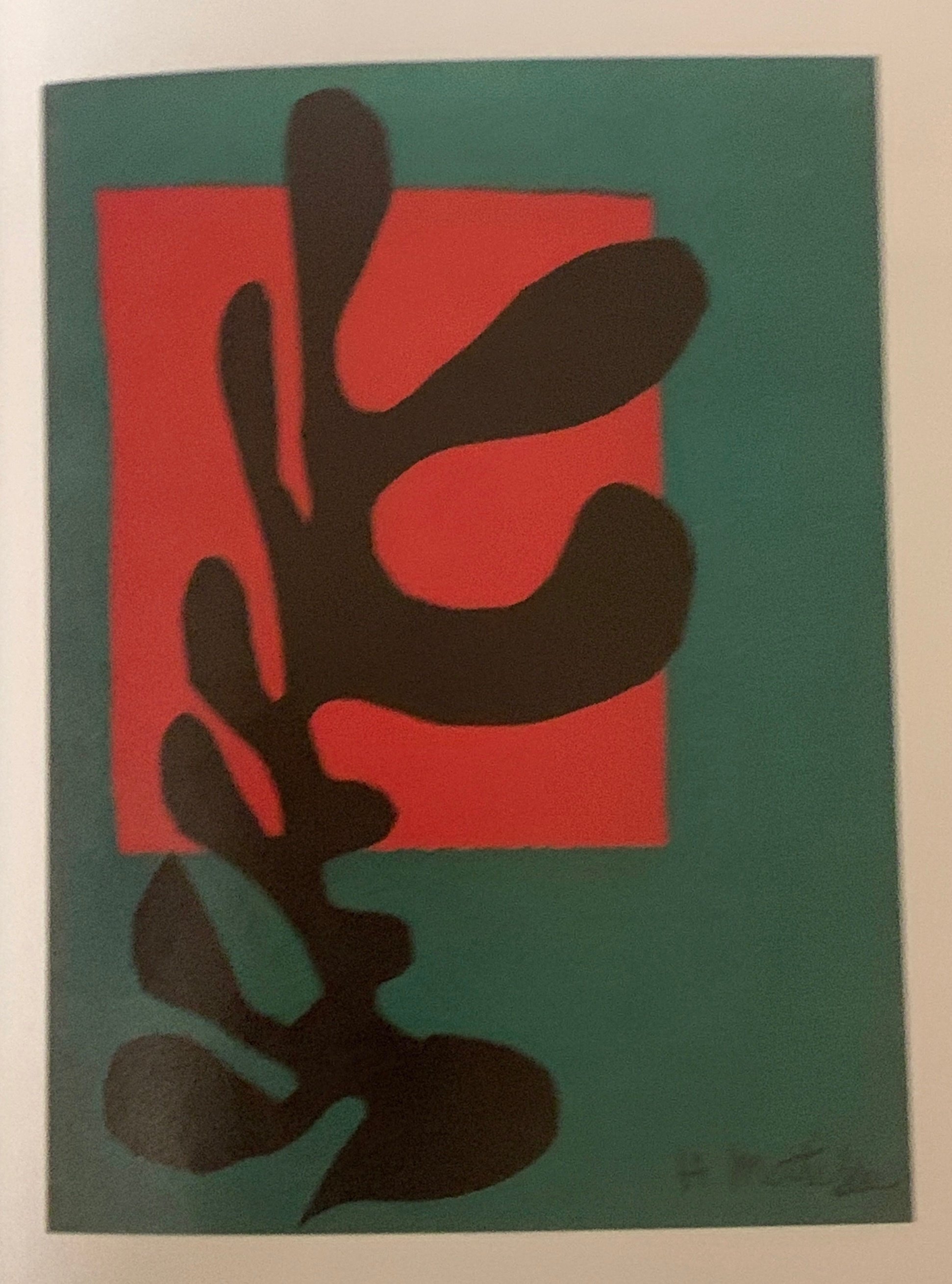 マティスの黒｜もちもち