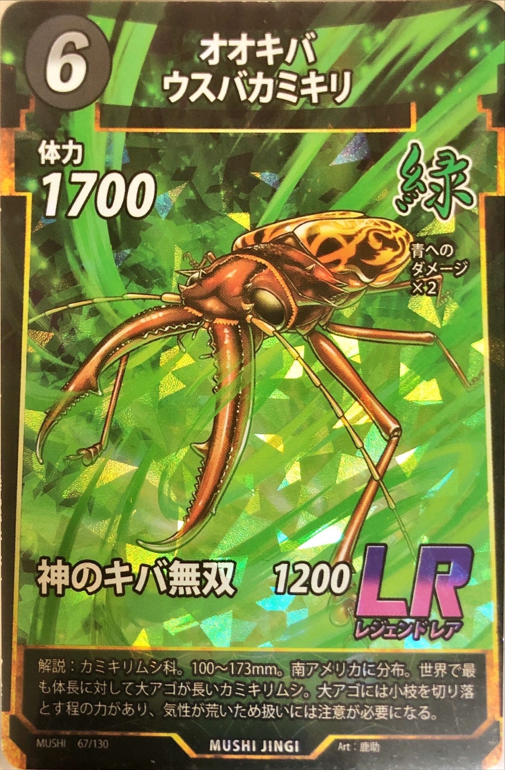 蟲神器デッキ紹介 サナギツールボックス(STB)｜ぽんぽろ@蟲主