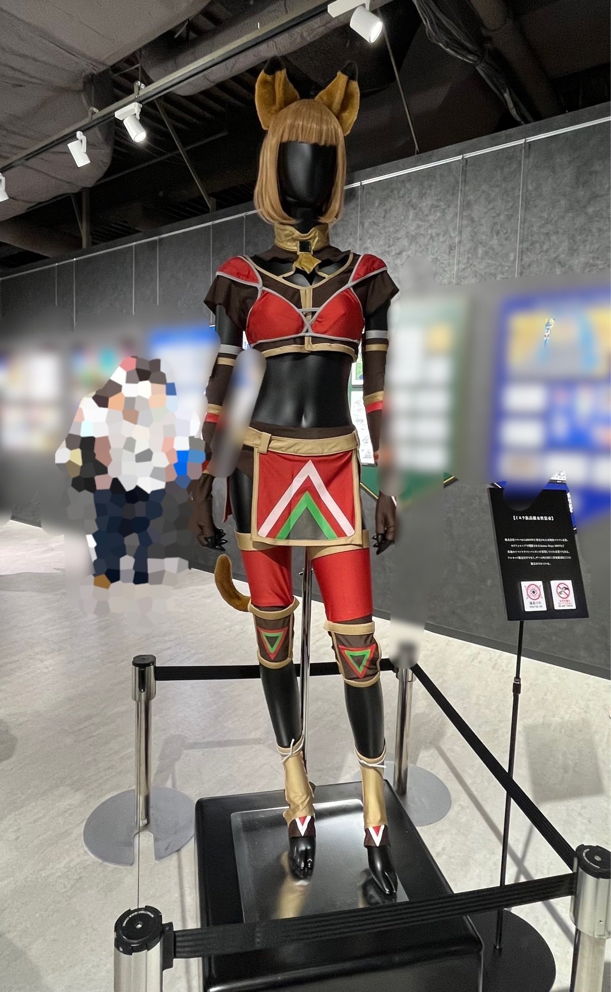 ヴァナディールの秘蔵展 FINAL FANTASY XI パブミラー ヴァナディール