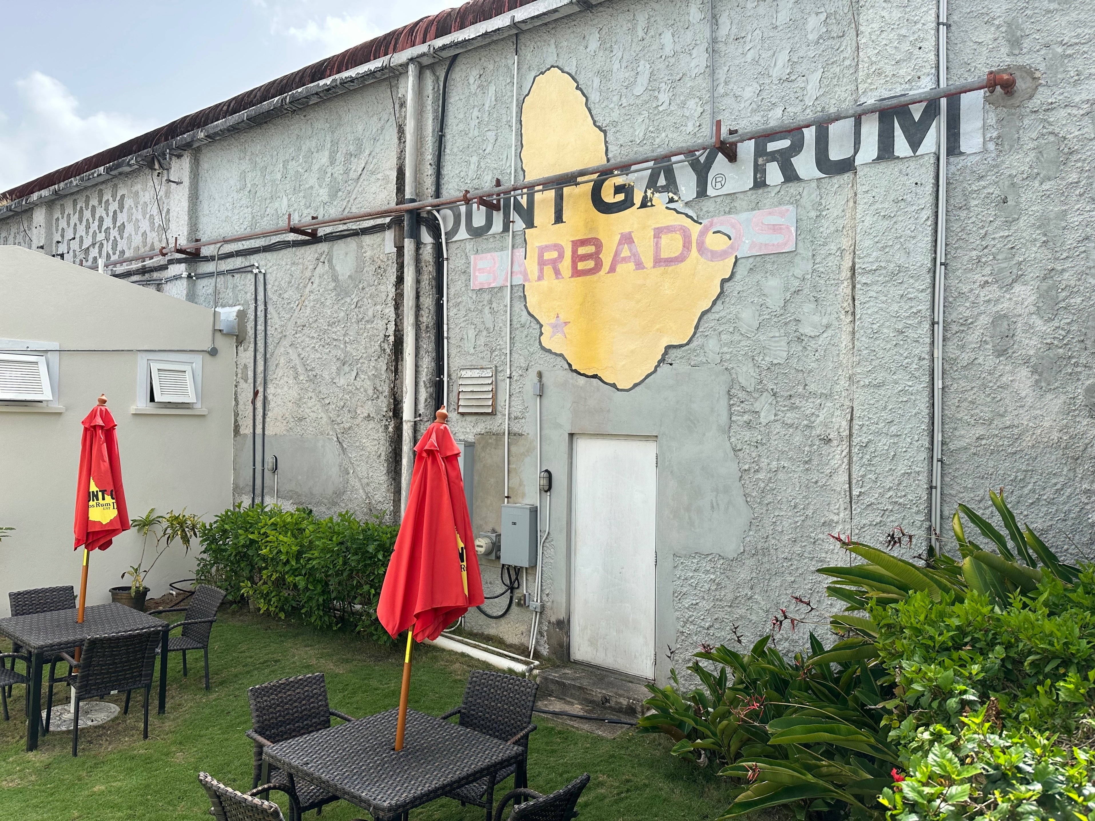 バルバドスの蒸溜所MOUNT GAYでラム酒を飲む｜Dr. Kano