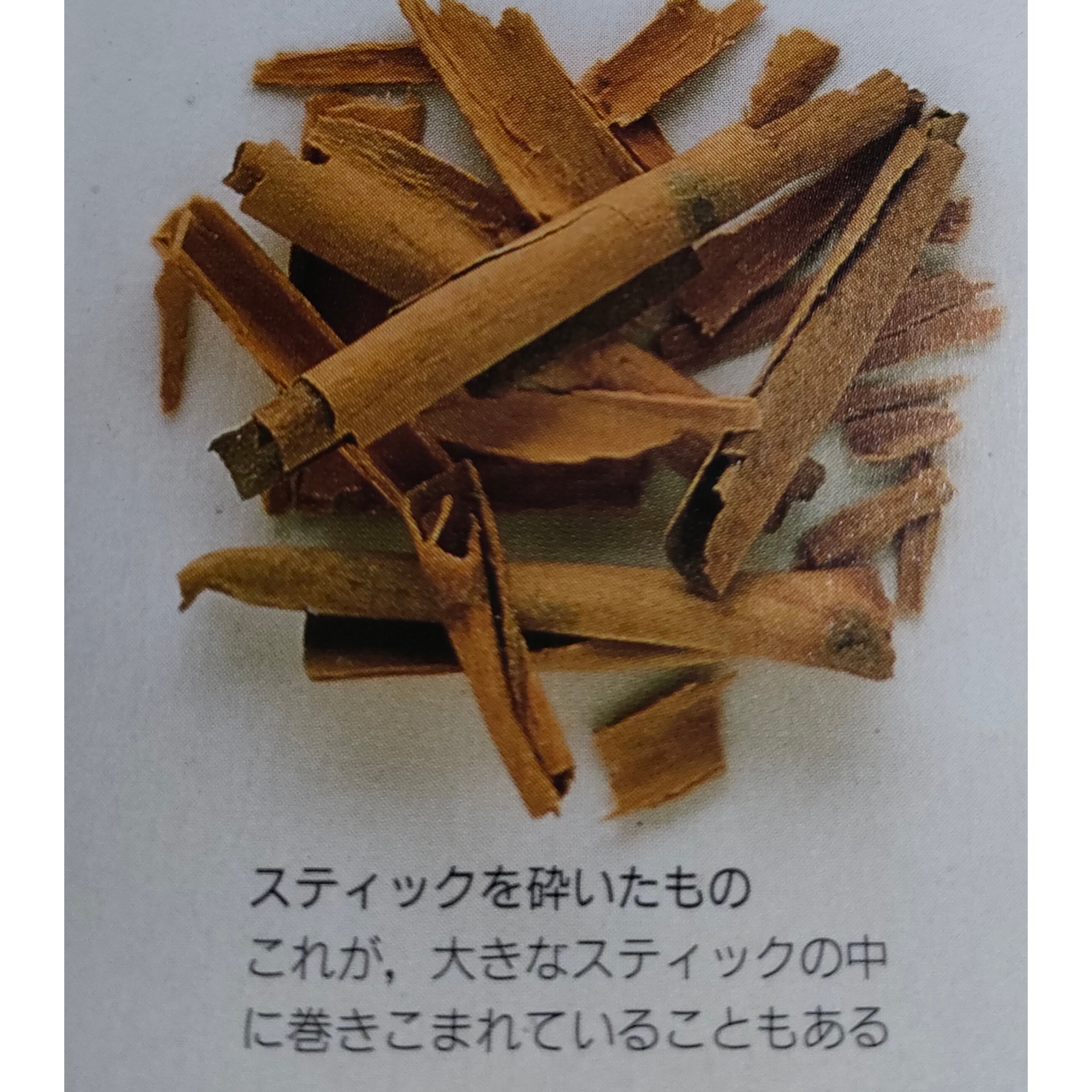 シナモンスパイス】ニッケイ、ニッキ｜堀江座さんち。I'm Sei Horie.