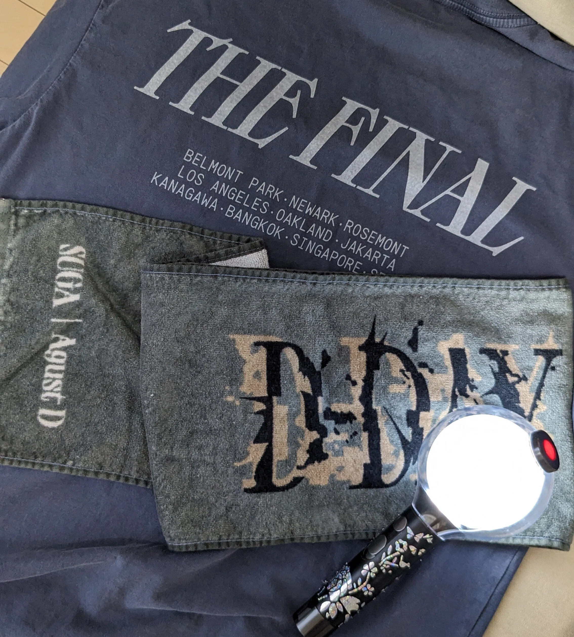 23年8月【D-DAY TOUR FINAL】ソウル遠征ログ…？🇰🇷＃1 〜ここに至る