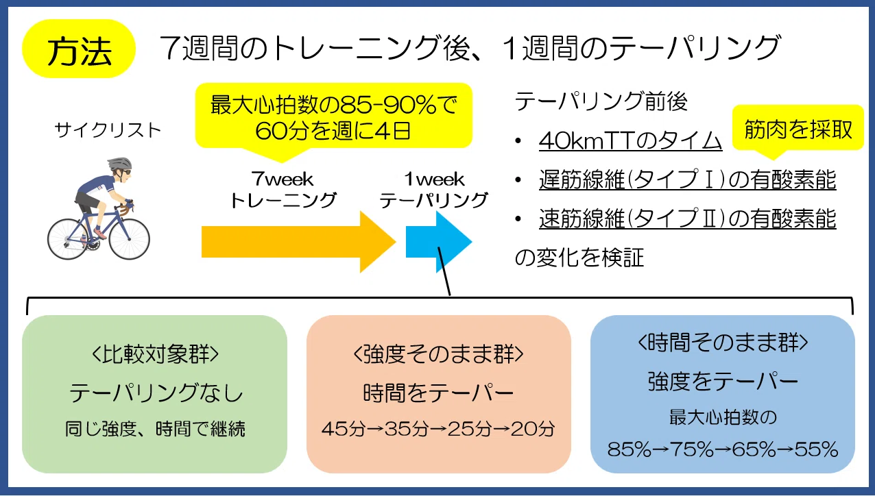 テーパ リング と は