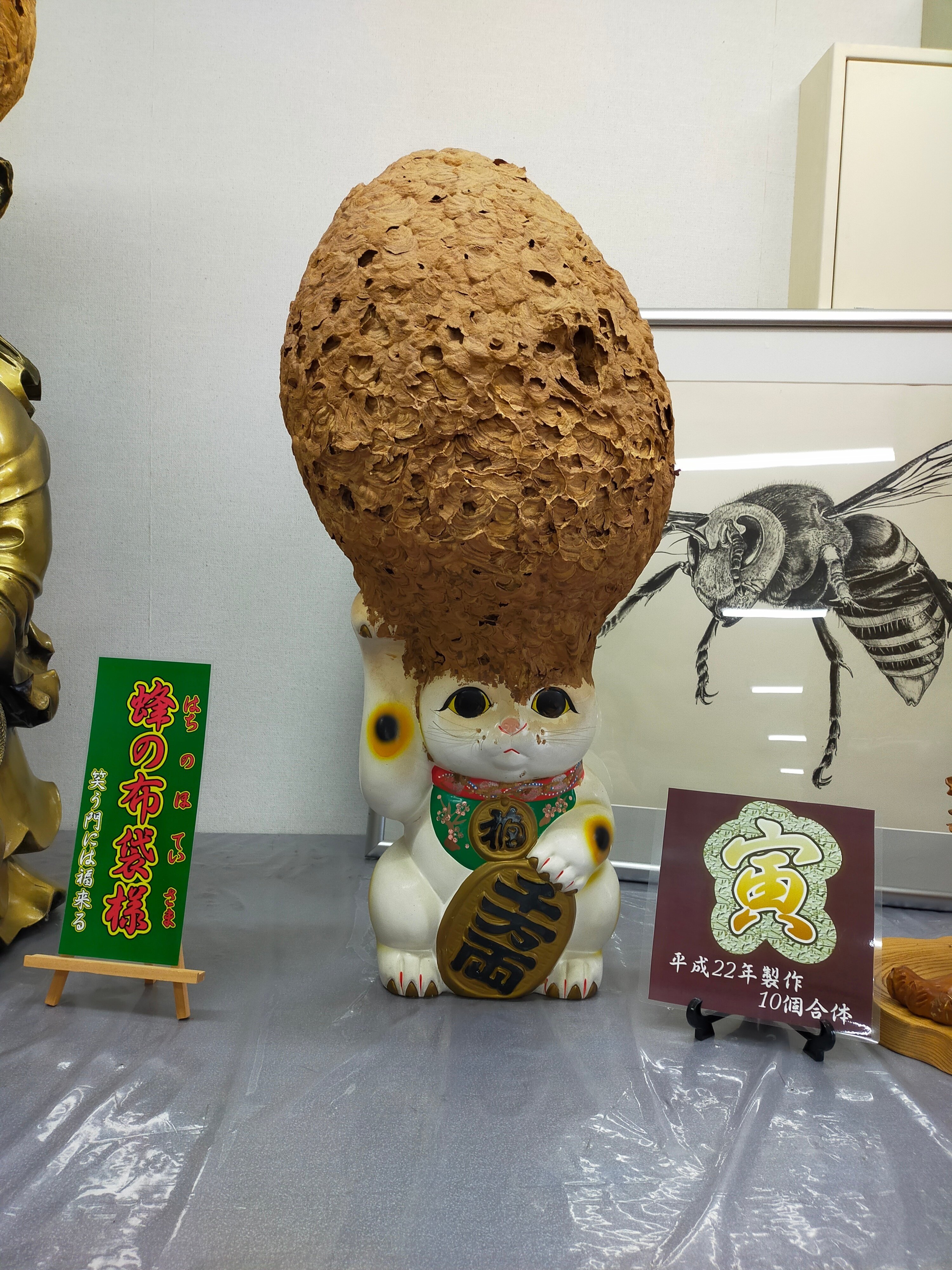 長野2日目・長野駅「幸(ゆき)」滋野「蜂天国」小諸「草笛 小諸本店