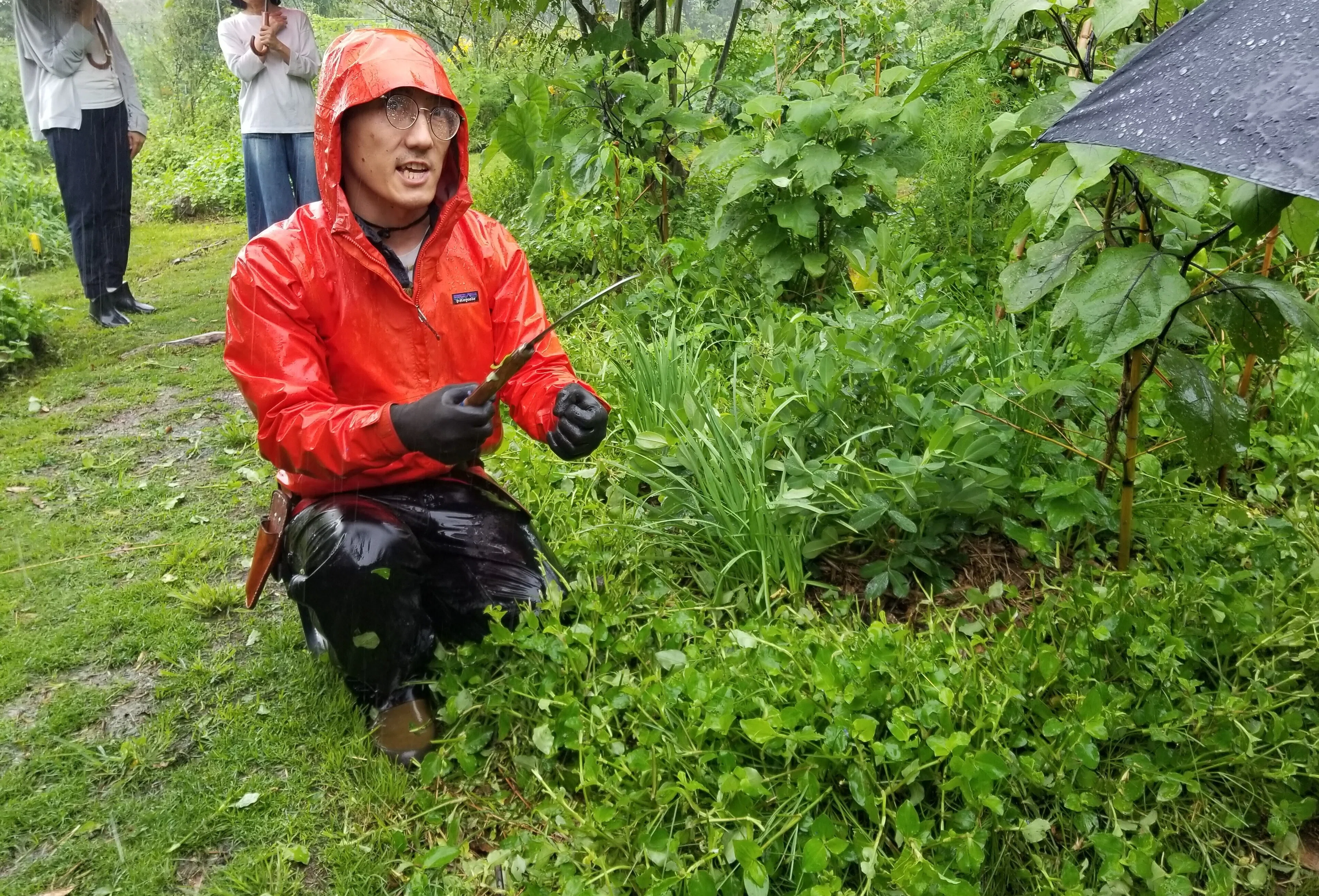 そーやんの｢地上の楽園｣ NOTE FARMへ行ってきました｜錬金術師の家庭菜園