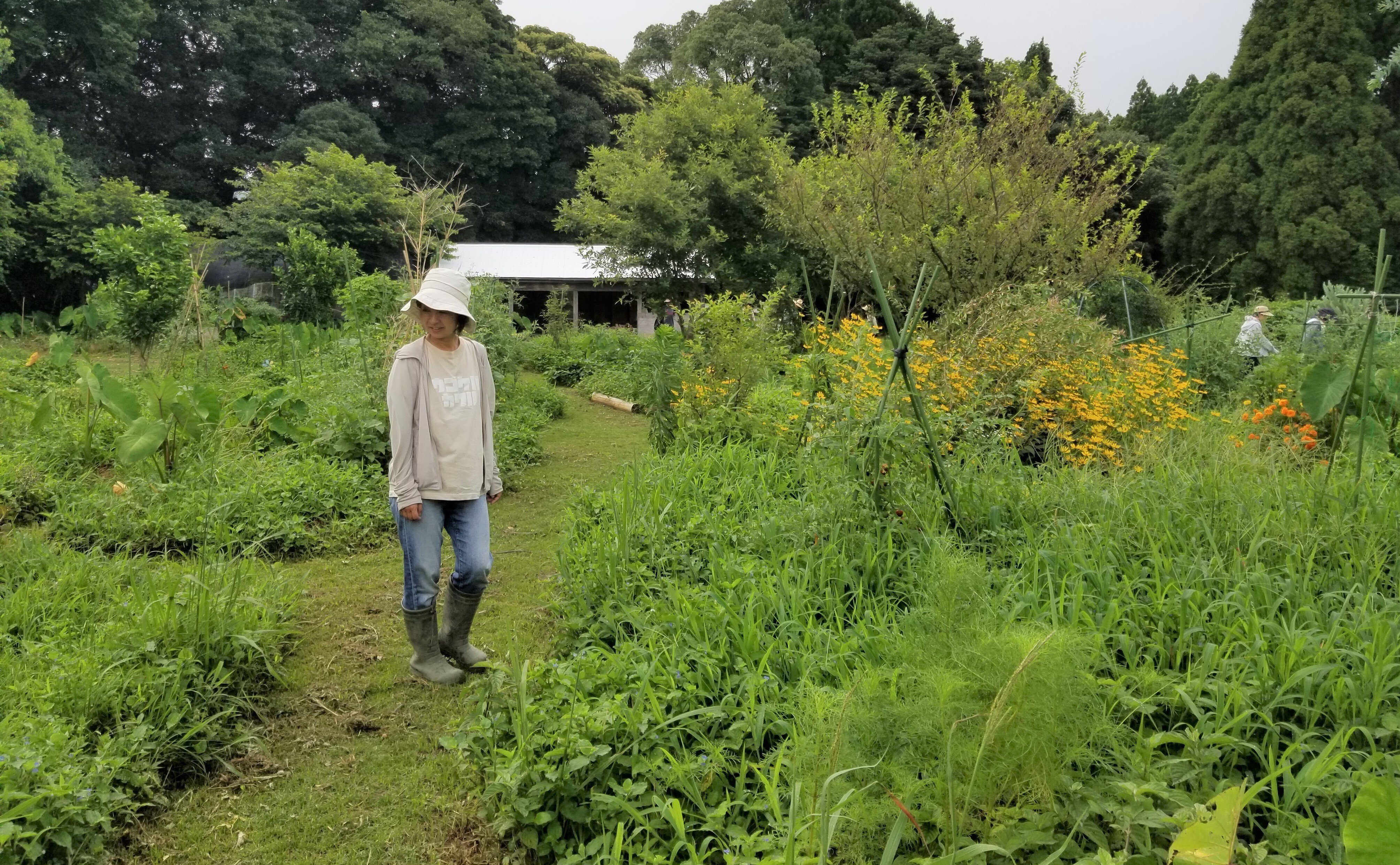 そーやんの｢地上の楽園｣ NOTE FARMへ行ってきました｜錬金術師の家庭菜園