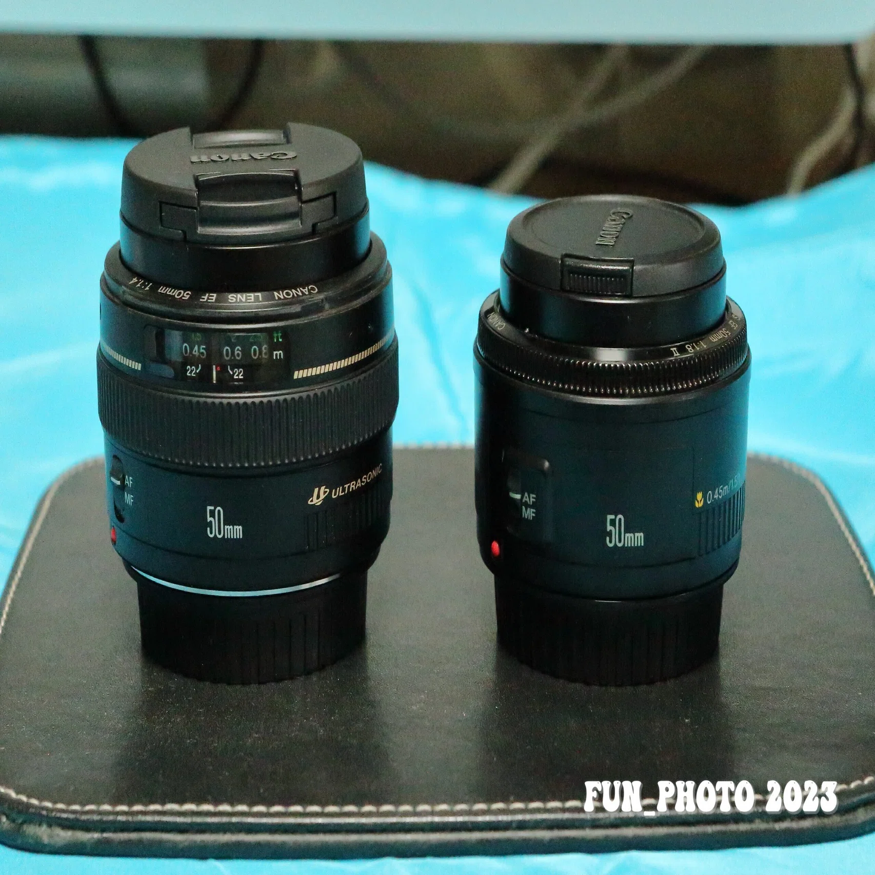 まったりと EF50mm F1.4 USMのレンズ遊び｜fun_photo