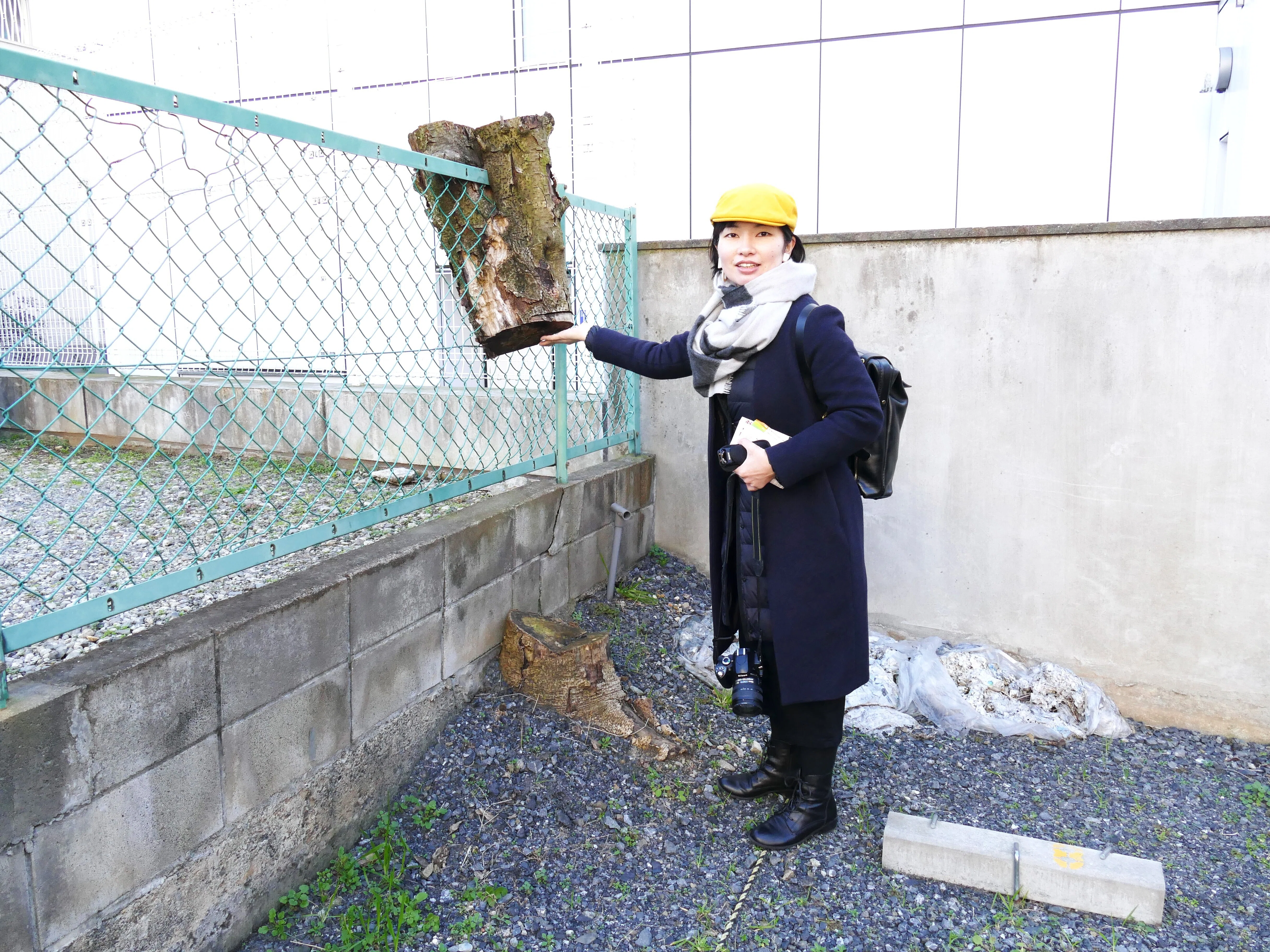 2023/09/10（日）】路上園芸ツアー 〜いつものまちの見方が変わる