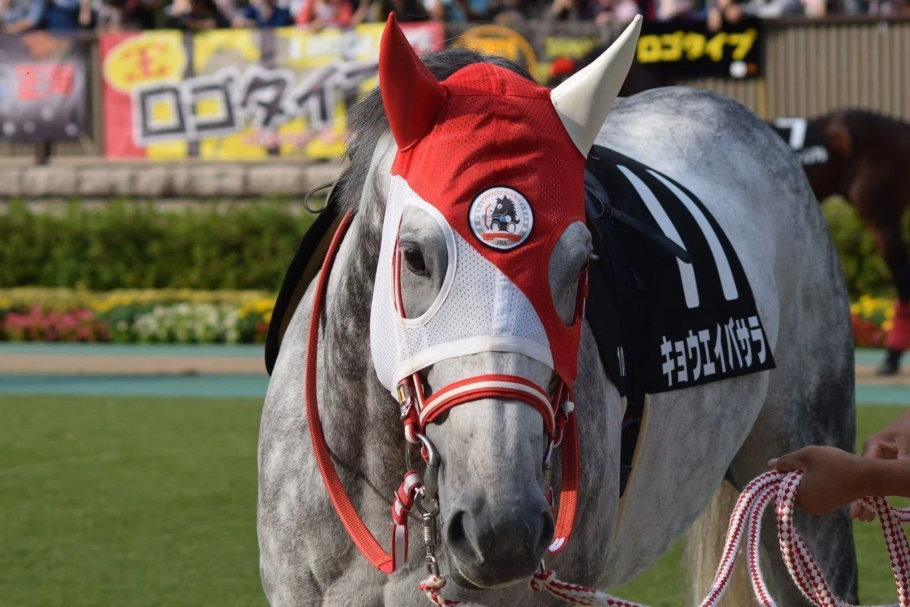 競馬を盛り上げることに貢献できる事は無いか考える｜Uma Ishii