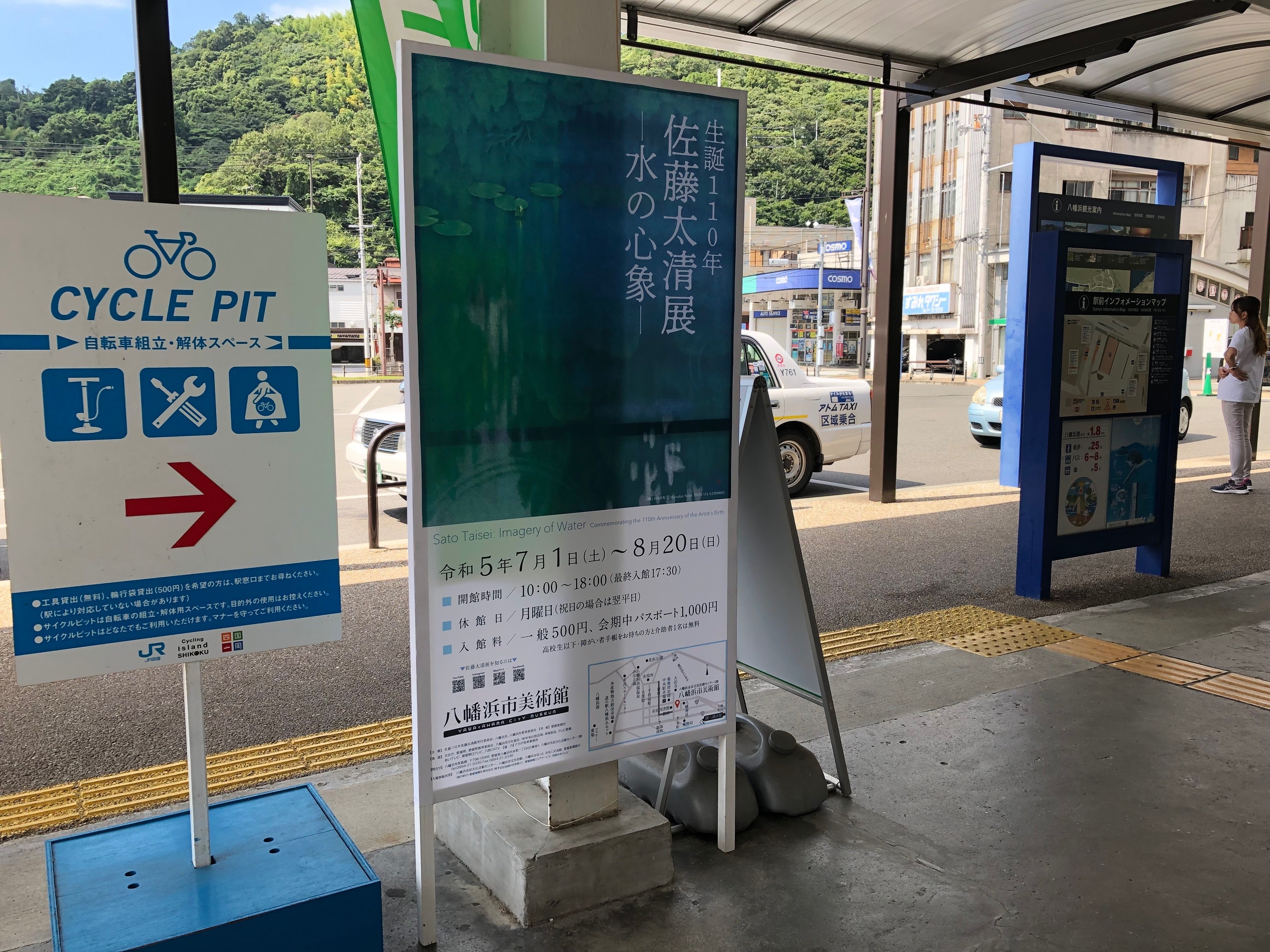 佐藤太清、【雪つばき】、希少な額装用画集より、新品額装付、状態良好 山下清、桜島、希少画集画、 新品額装付 - メルカリ