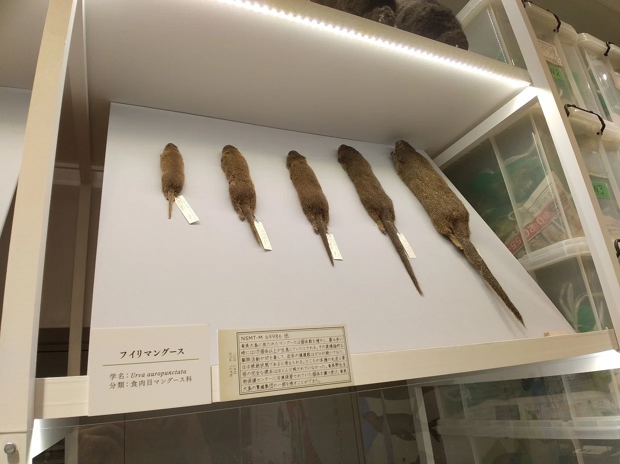 ぼくは哺乳類が好きだ｜四賀マイル
