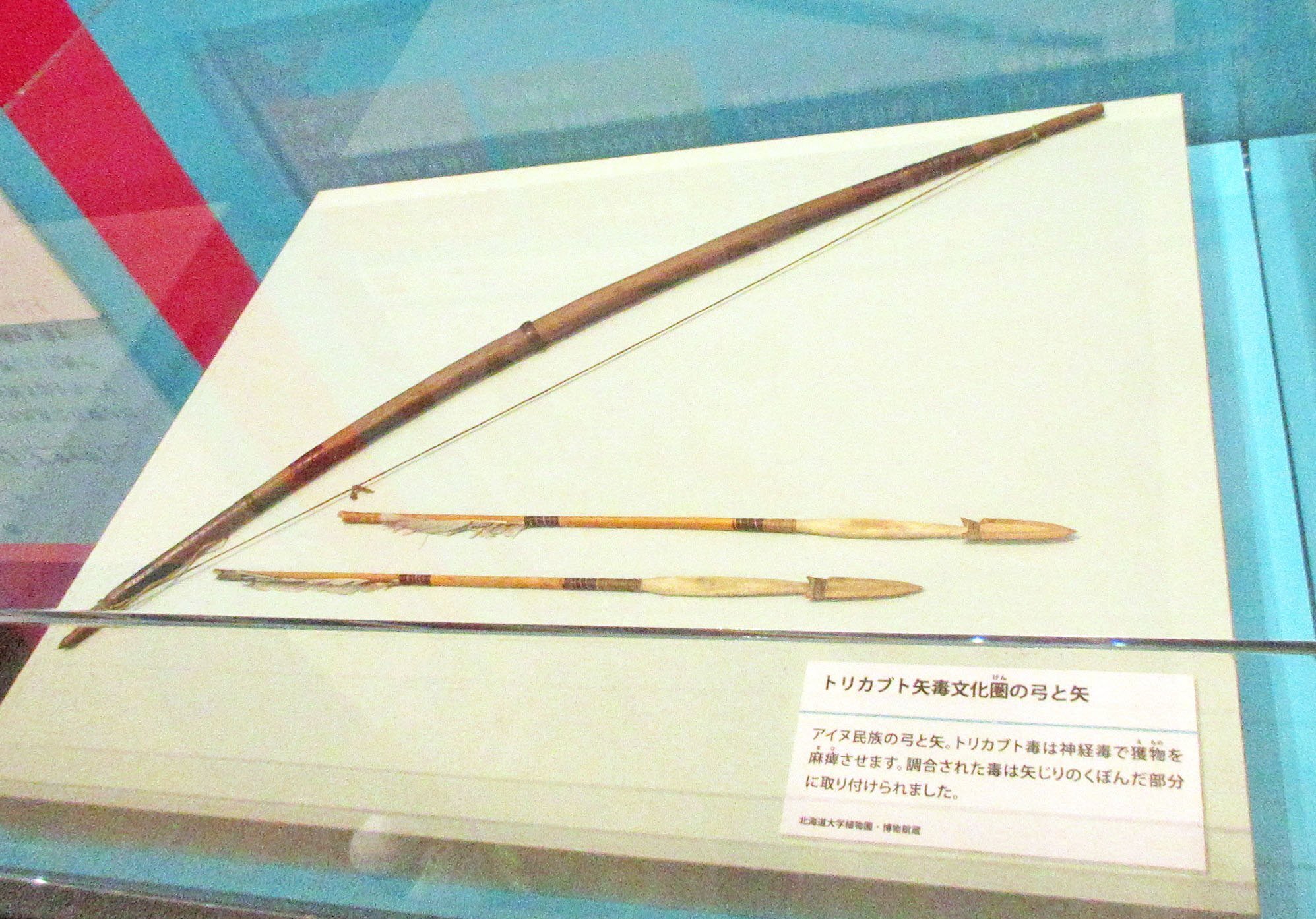 第4章 毒と人間 4-3 毒を操る 1．世界の矢毒文化、および、2．アイヌと