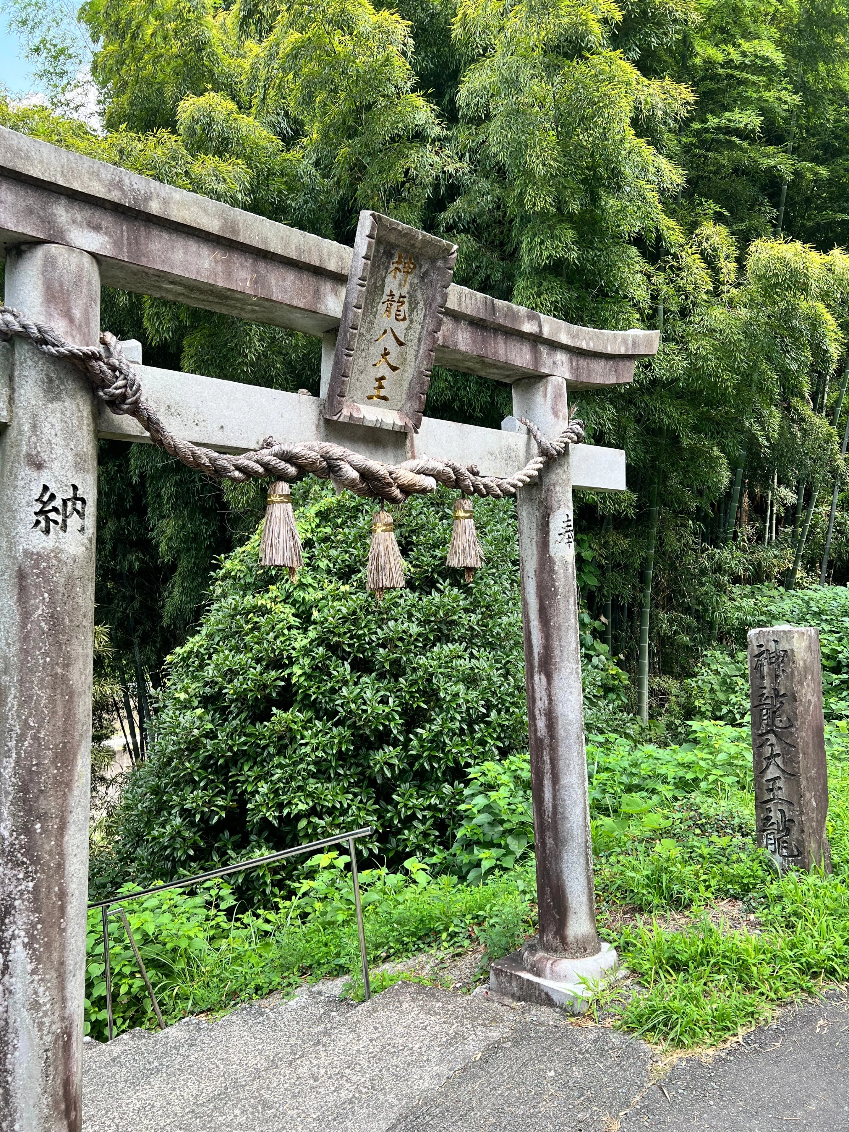 No.2 宇宙最強の神を祀っている｜TSUGU358