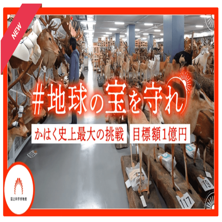 国立科学博物館　オリジナル標本アクリルスタンド全10種セット 国立科学博物館オリジナル標本アクリルスタンド全10種セット