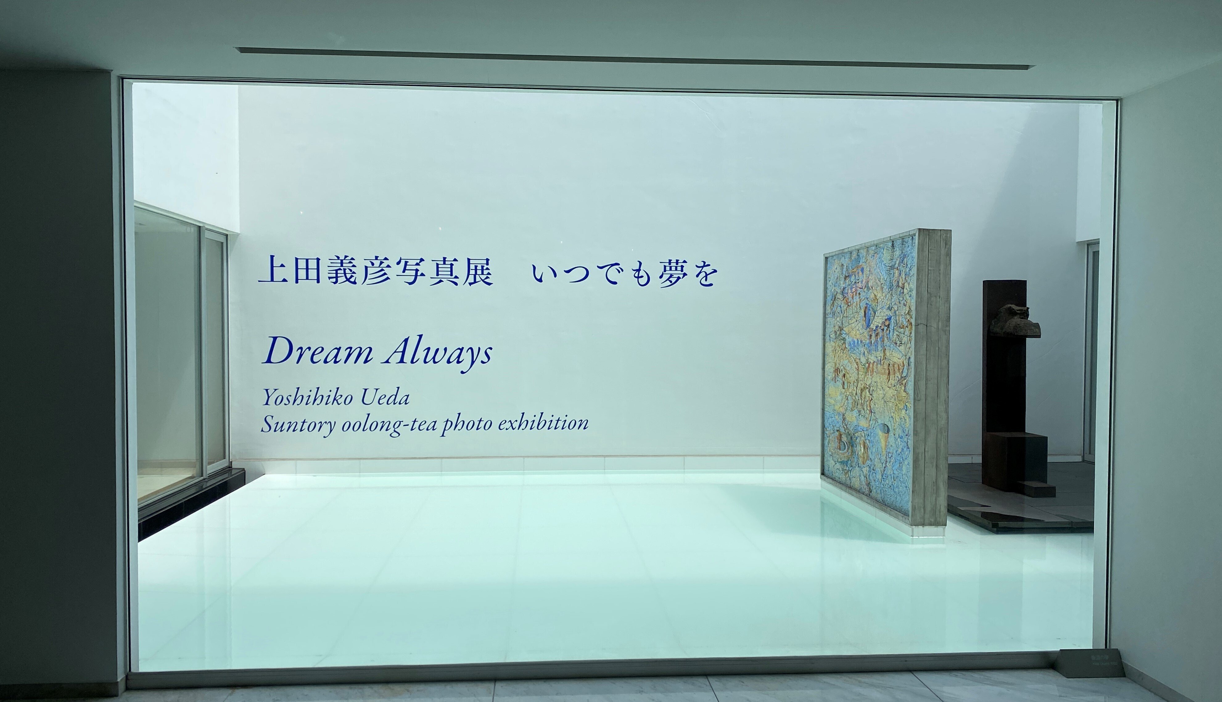 綺麗なことばかりじゃないなんて、みんな知っている - 上田義彦写真展