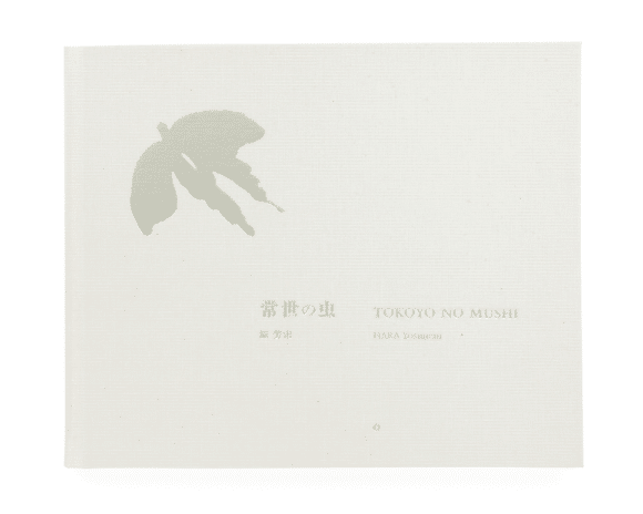 原画　「拝啓、幸せの丸い虫さんへ」 原画 「拝啓、幸せの丸い虫さんへ」