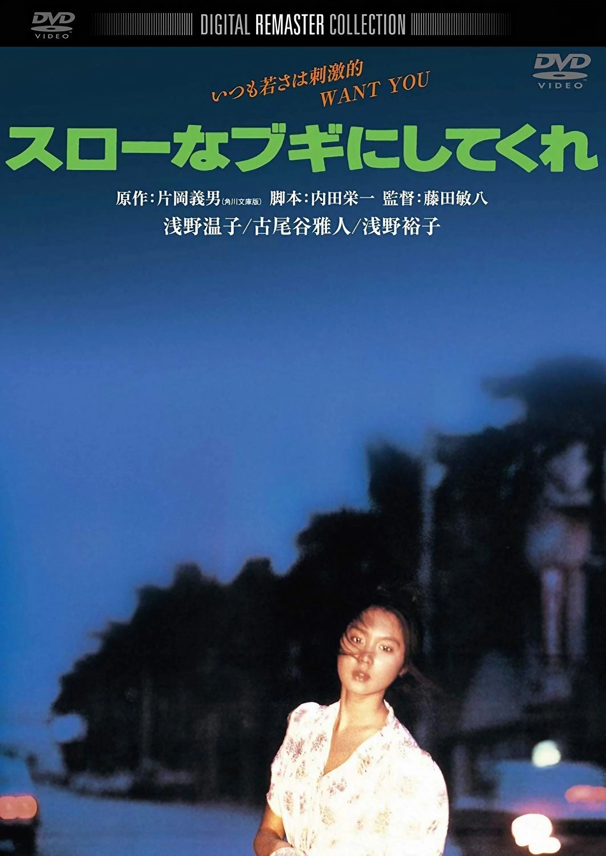 楽曲分析 : #スローなブギにしてくれ (I want you) 歌手 南佳孝 作詞