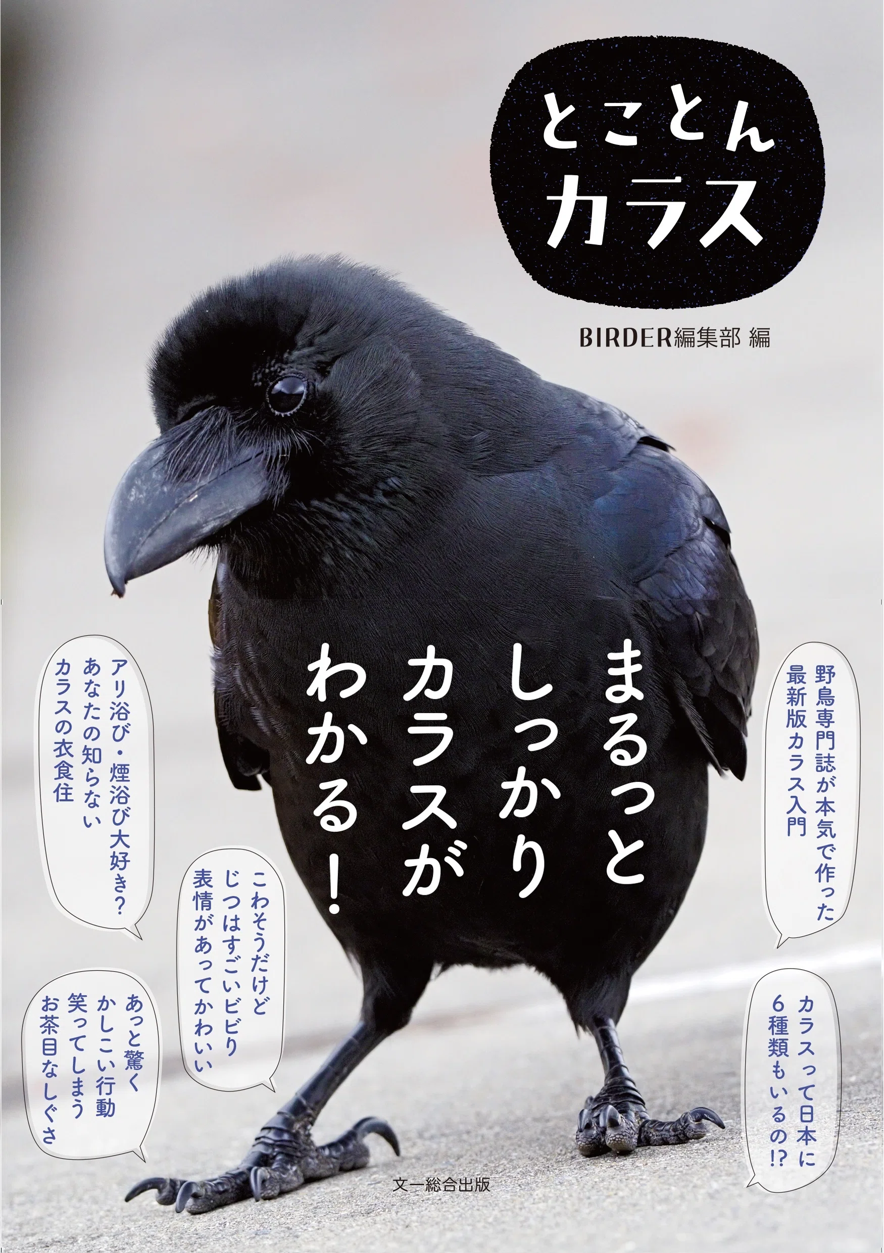 カラスの魅力をまるっと、とことん深掘りした一冊｜ブンイチ（文一総合