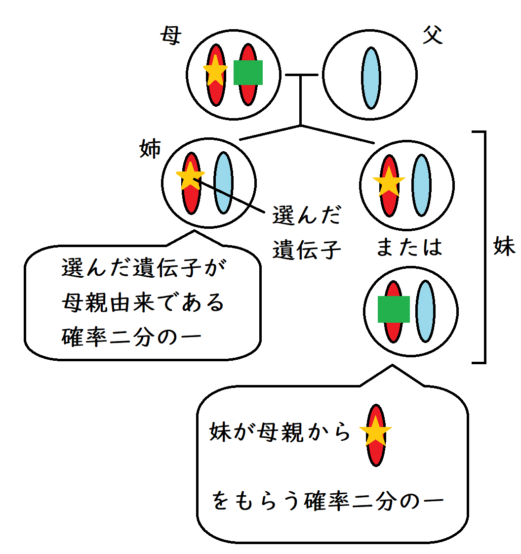 カパンジ－生体力学の世界 地球上の生物に共通する動きの仕組み 次世代へのメッセージ カパンジー生体力学の世界/医歯薬出版株式会社
