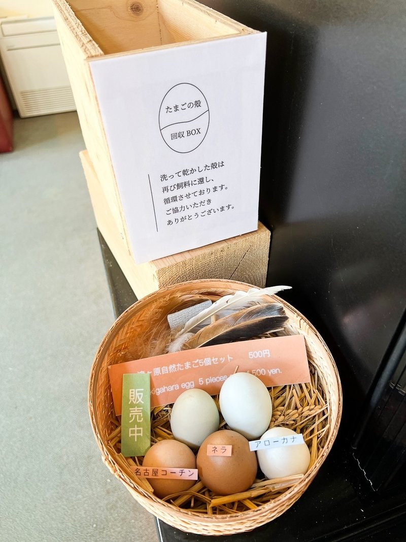卵と殻の回収ボックス